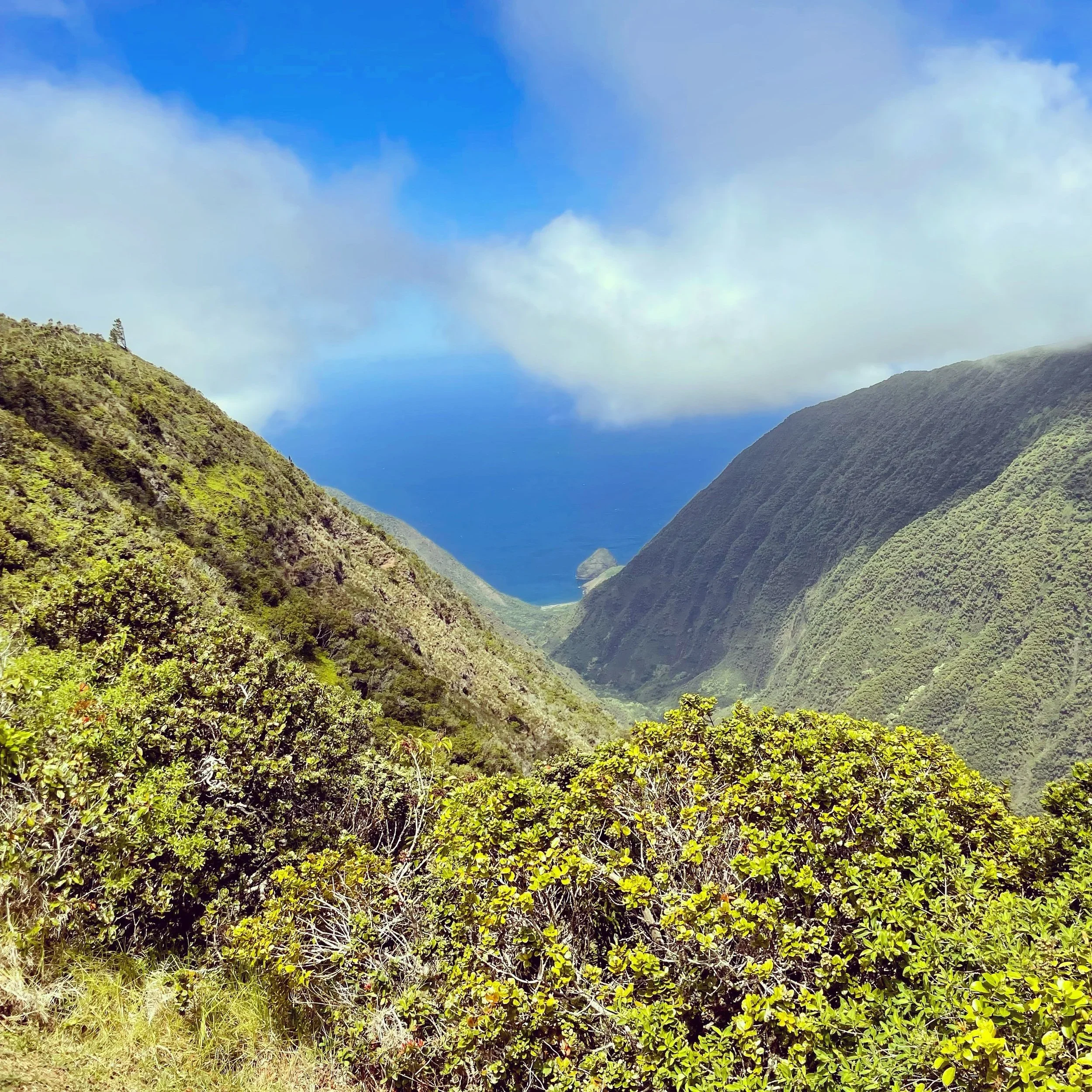 There’s+no+shortage+of+breathtaking+sights+on+the+island+of+Molokai.webp