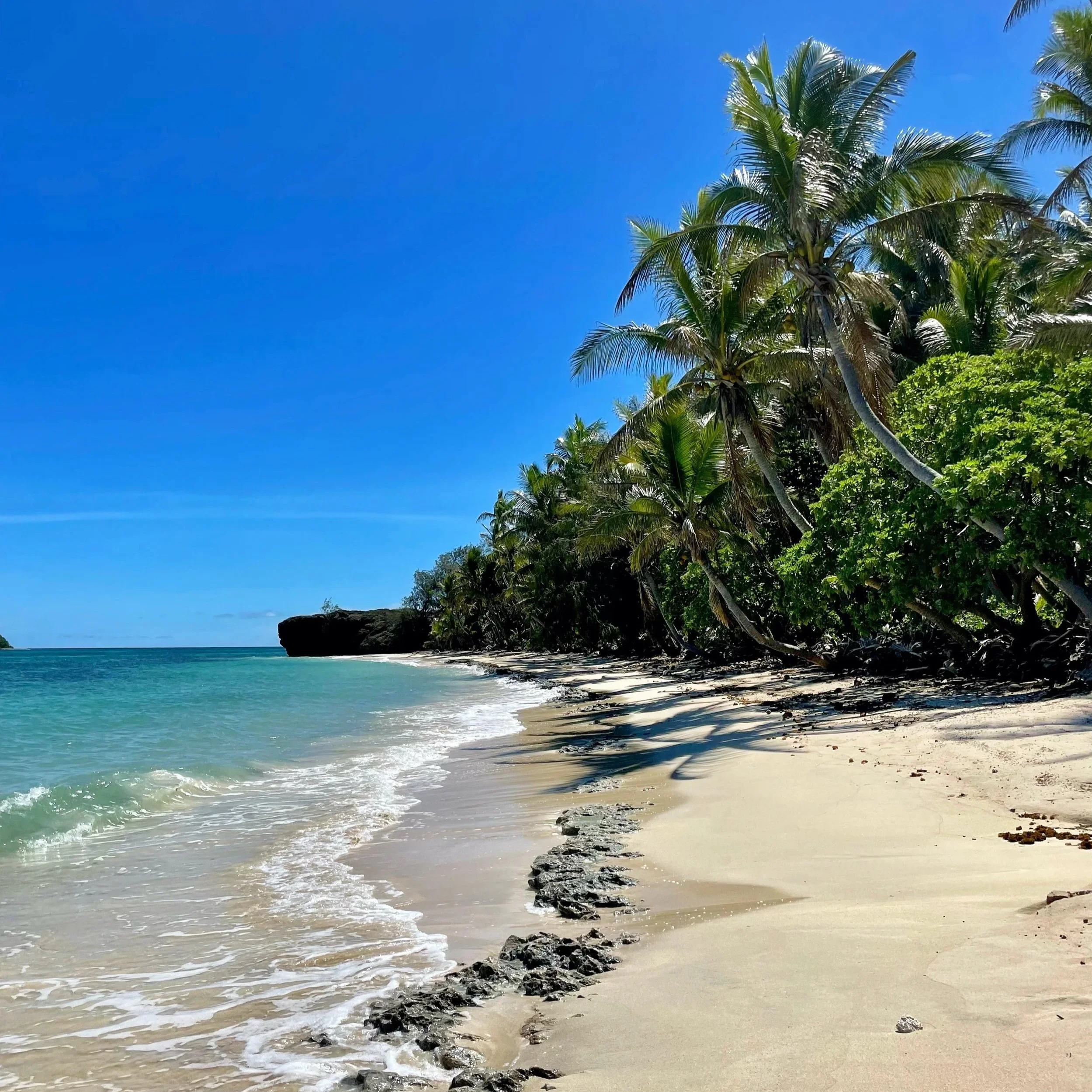 Copy+of+Devil_s+Beach,+my+favorite+in+all+of+Fiji,+and+potentially+the+world,+located+at+Turtle+Island.webp