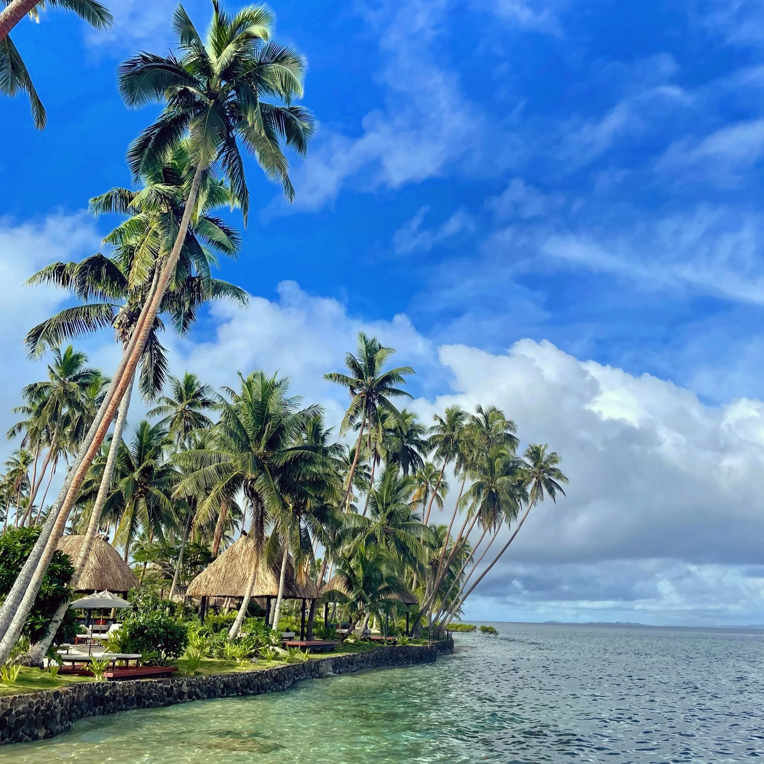 Copy+of+Beachside+bures+at+Jean-Michel+Cousteau+Resort+in+Savusavu.webp