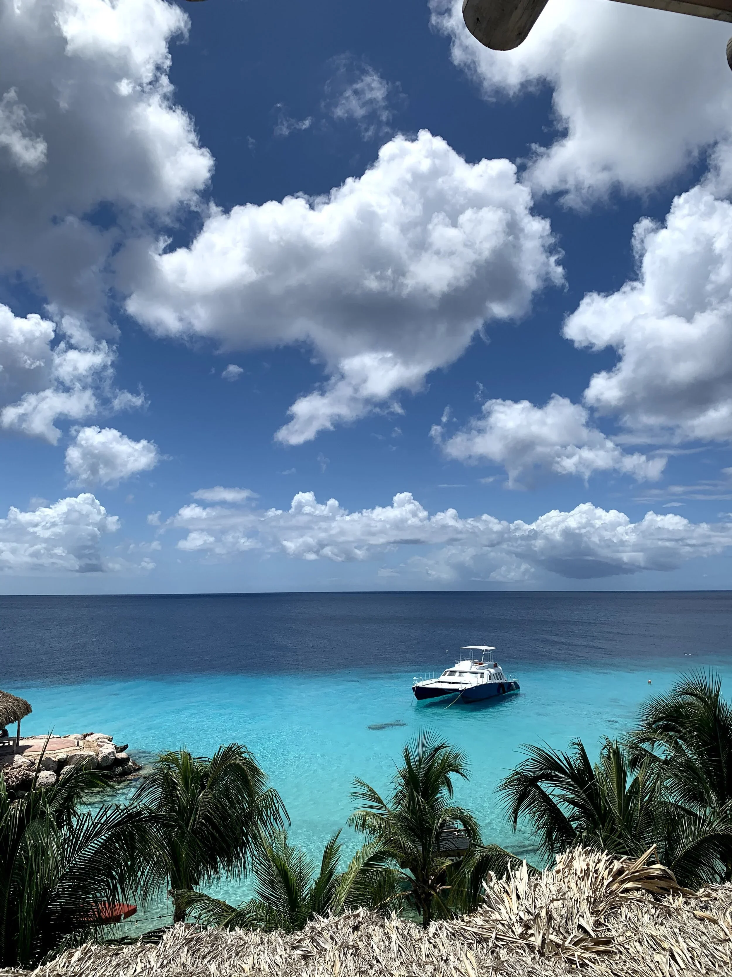 Karakter+Curacao.jpg+2-+c_o+@KatherineParkerMagyar.. (1).webp
