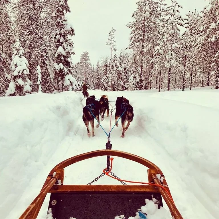 rovaniemi.webp