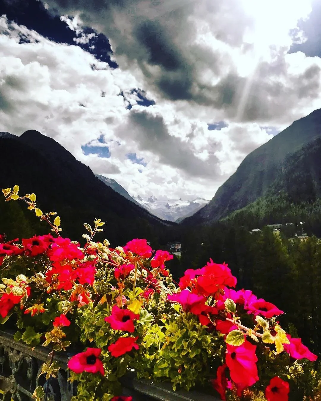 Pontresina.webp