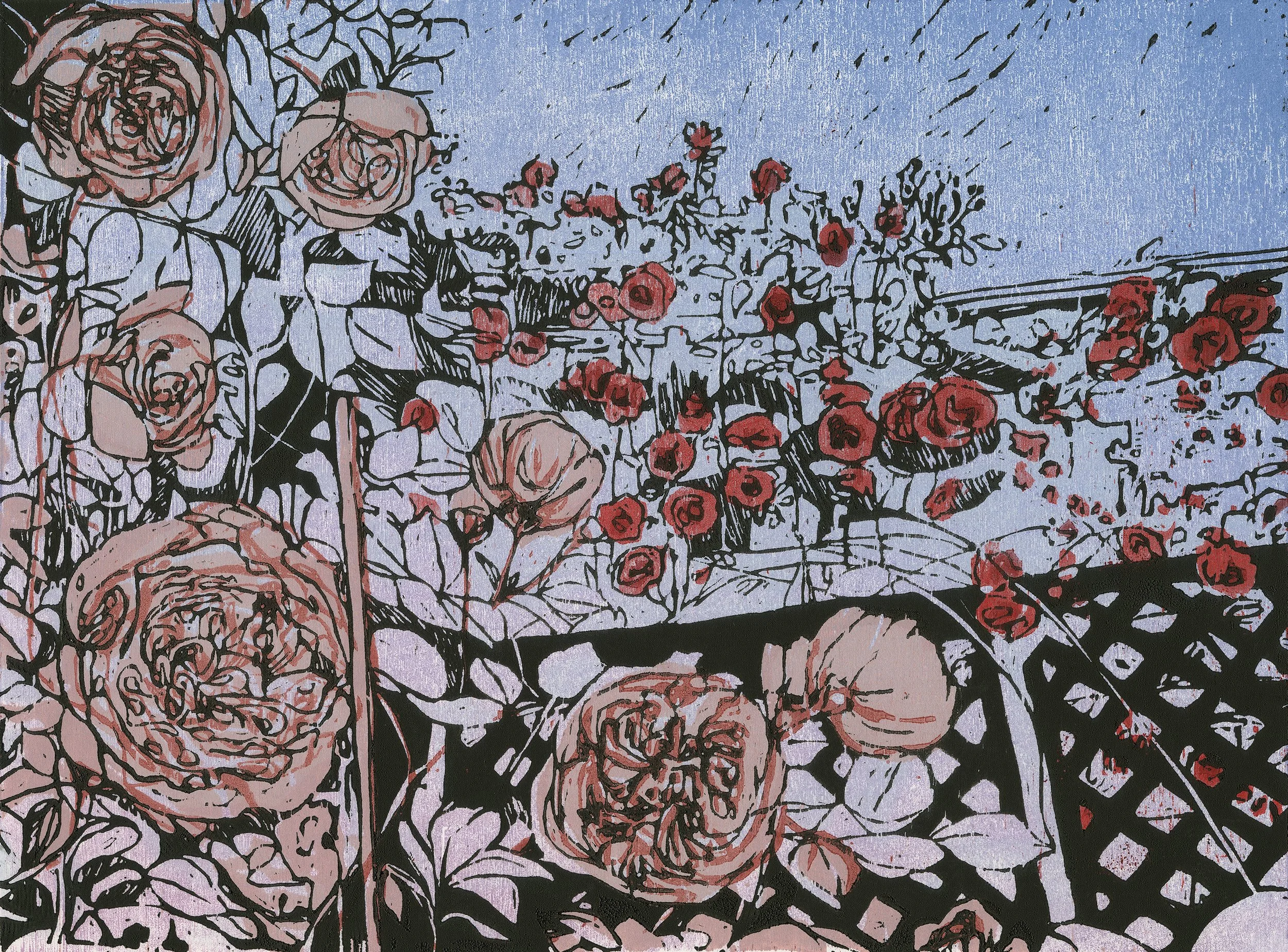 Back Yard Roses.jpeg