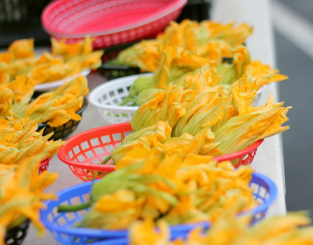 Sweet Corn Risotto with Squash Blossoms — Savoir Faire Catering Santa