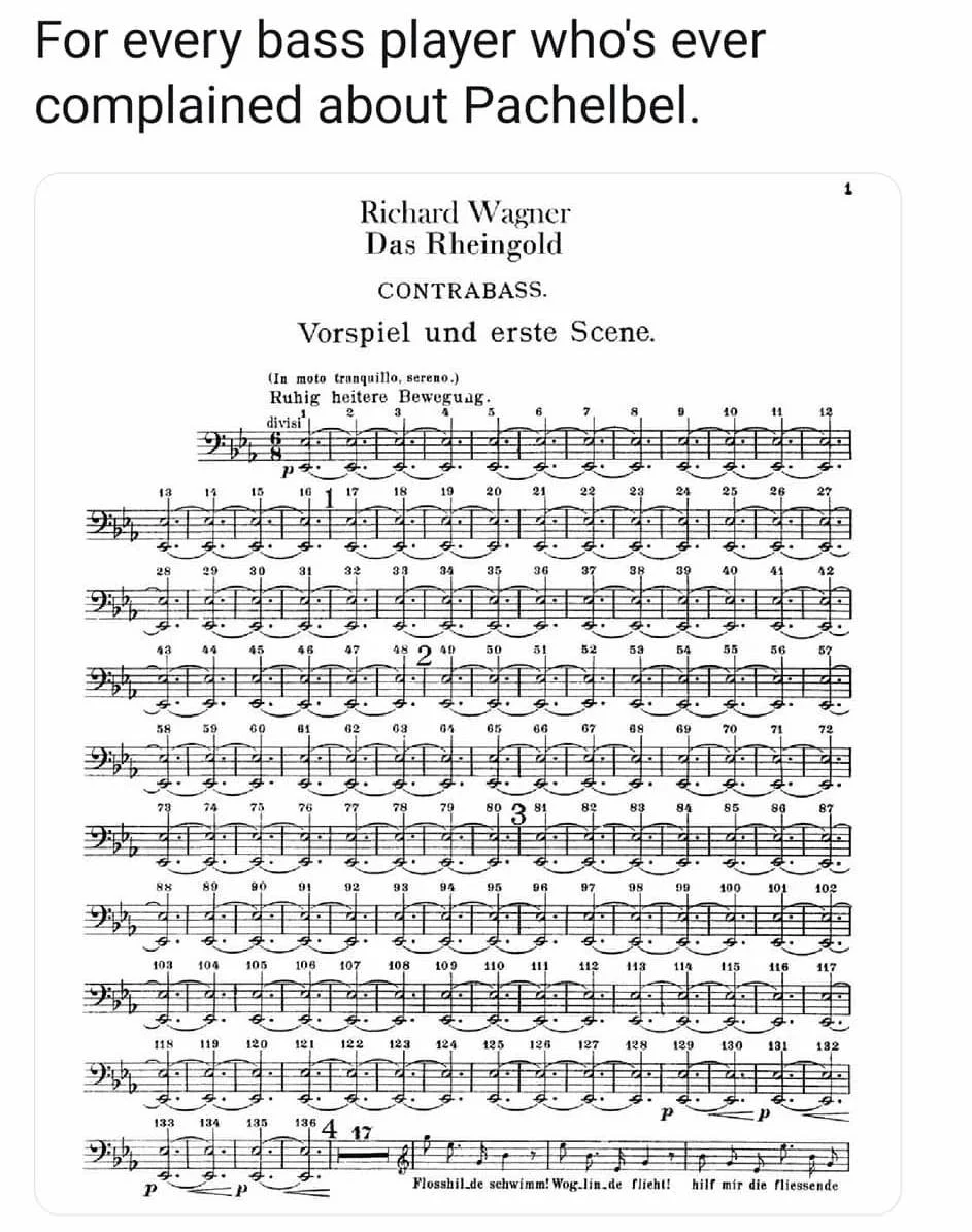 53664156_10157363416174260_6691365520236609536_o.jpg