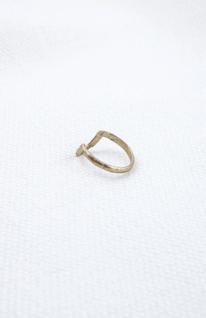 Tier Ring-bronze-Hawkly_b.jpg