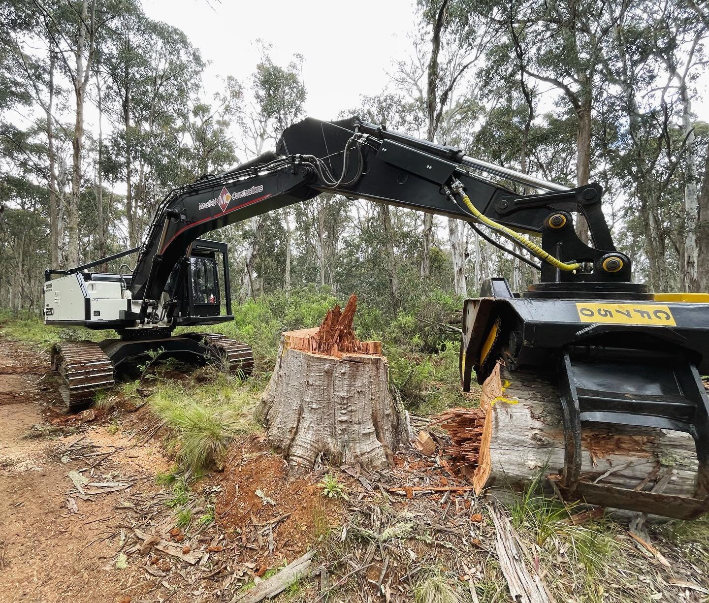 Blessing your Sunday scrolling with this absolute beast 👊🏽 We welcomed her too the team a few months ago and couldn&rsquo;t be happier! #mansfieldconstructions