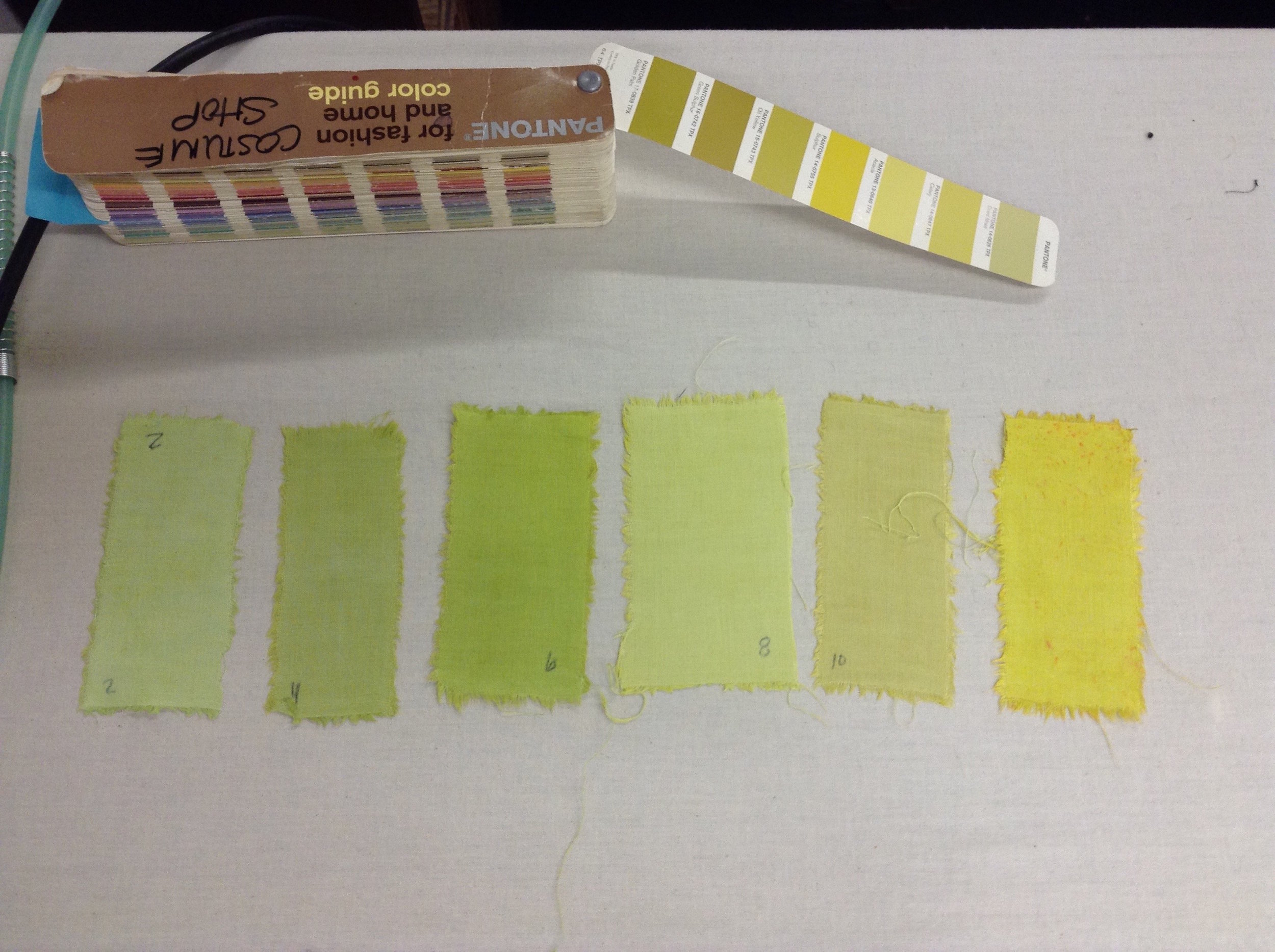 Process: Color Swatches