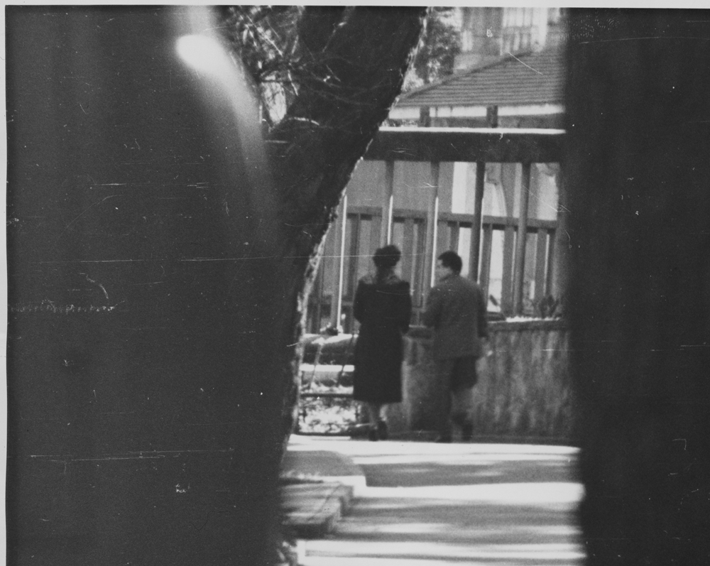 Meeting between Ivan Skripov and Kay Marshall at Taronga Park Zoo, 1962.