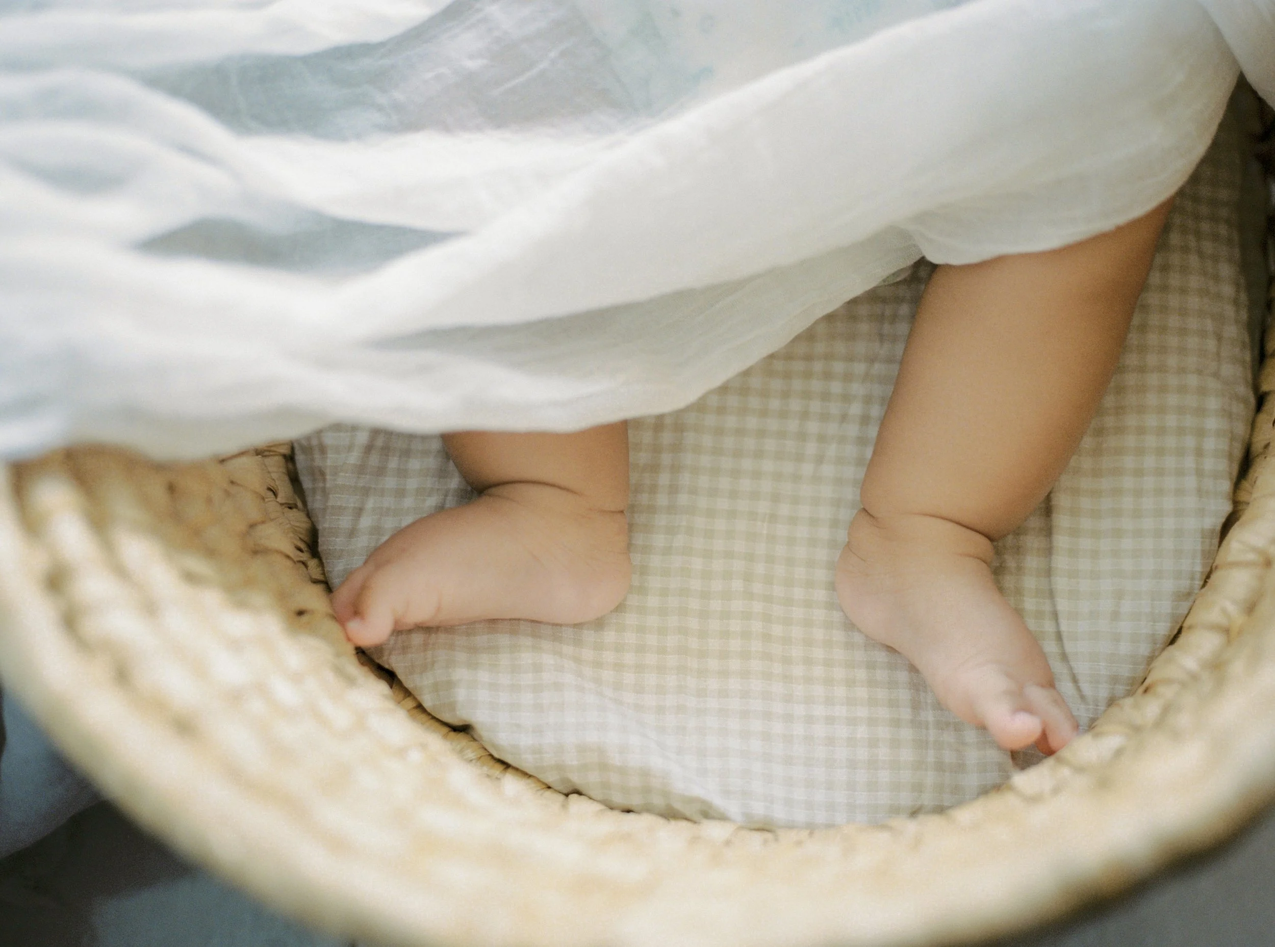 Victoria bc family photographer Charlotte_0088 copy.jpg