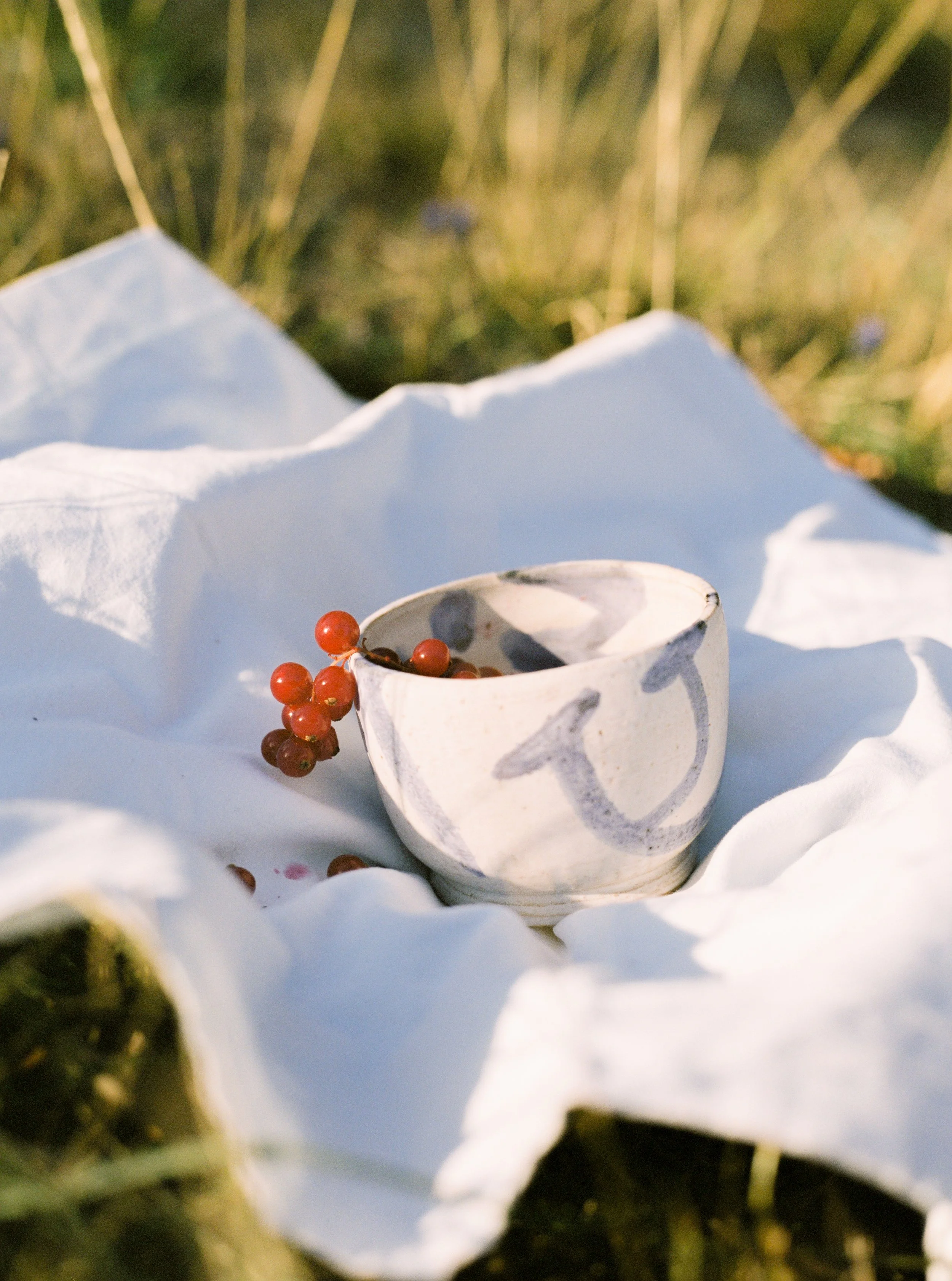 Victoria bc film photographer  NgShi Wen-130.jpg