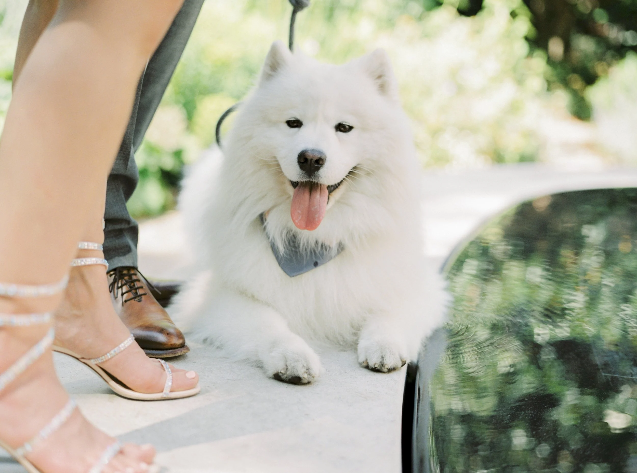 Victoria bc film photographer  Tchen_Olivia-304 copy.jpg