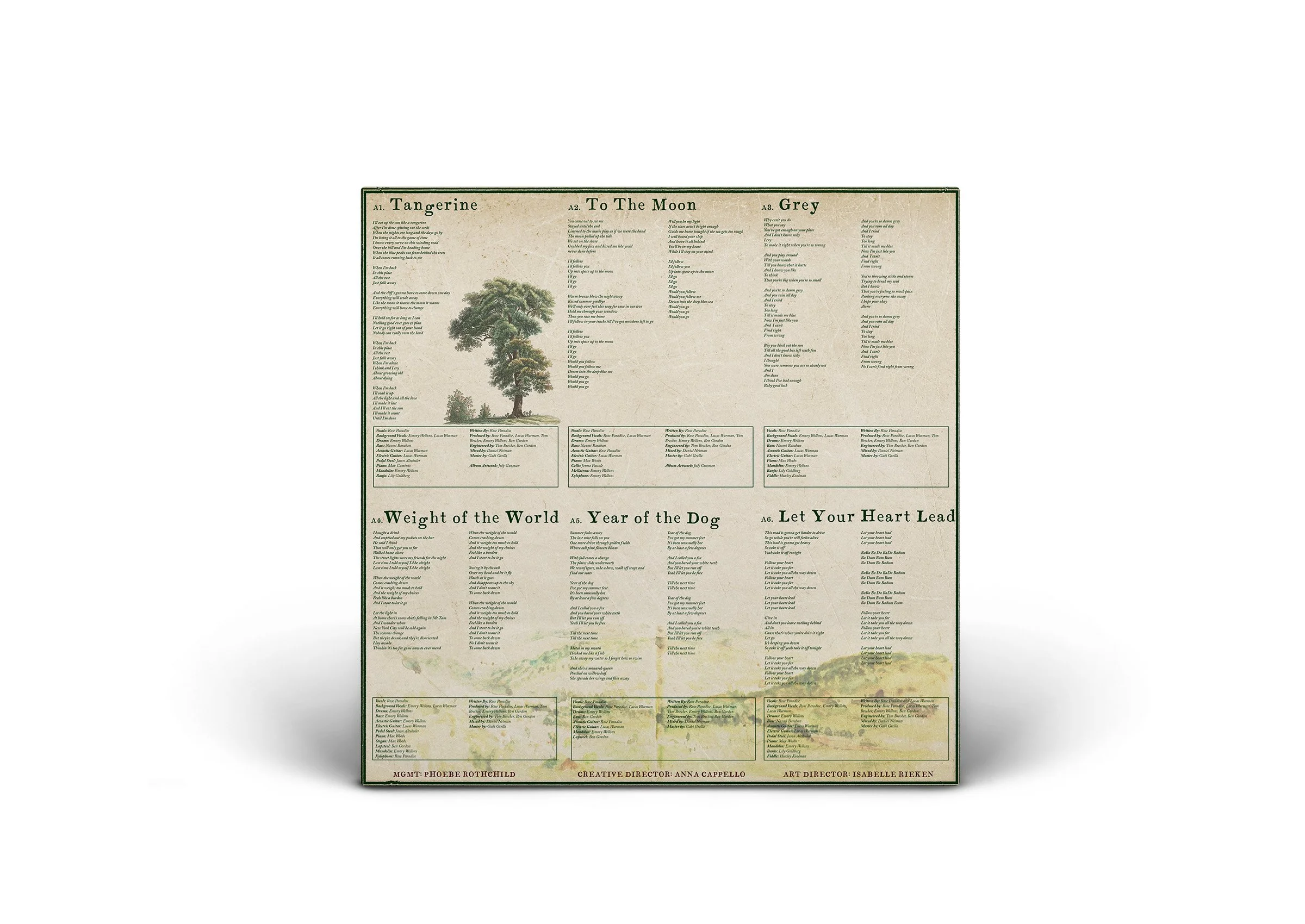 Vinyl Record INSERT 1.jpg