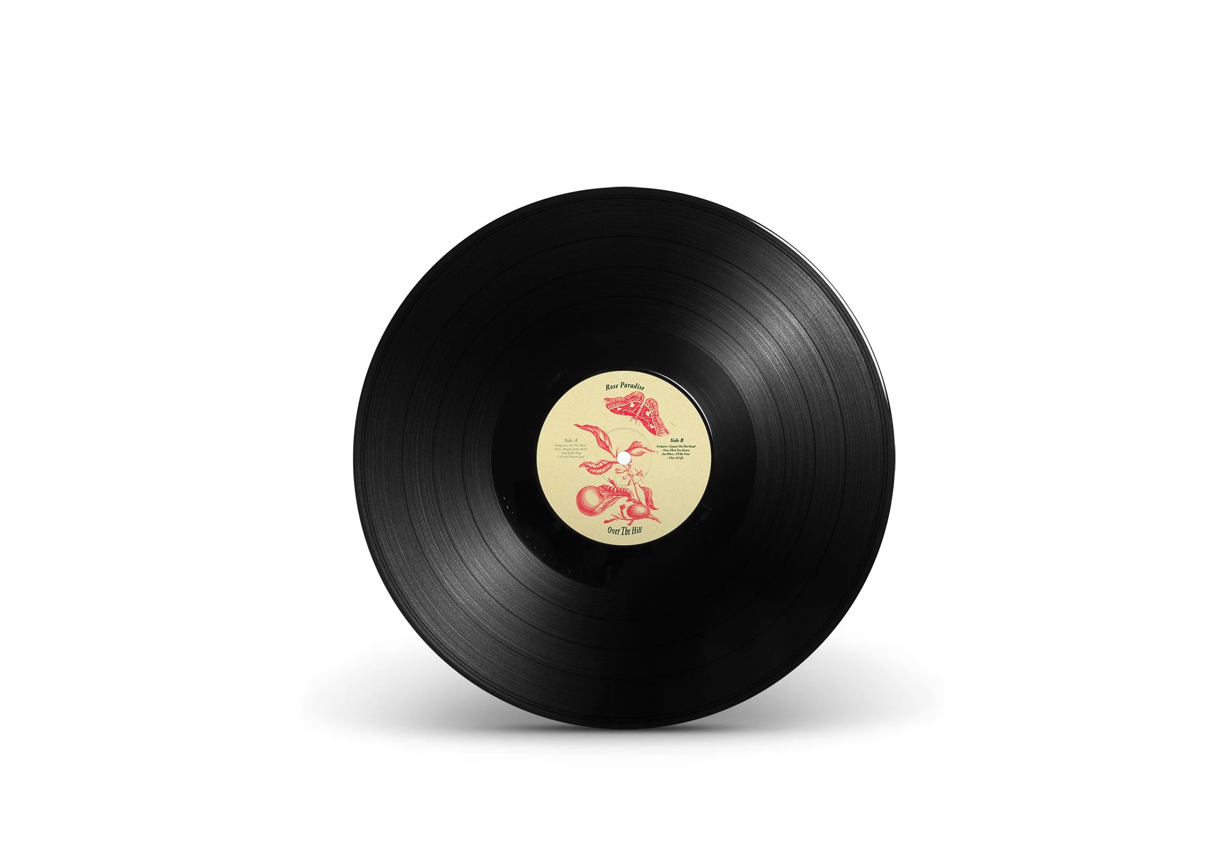 Vinyl Record VINYL 2ROSE.jpg