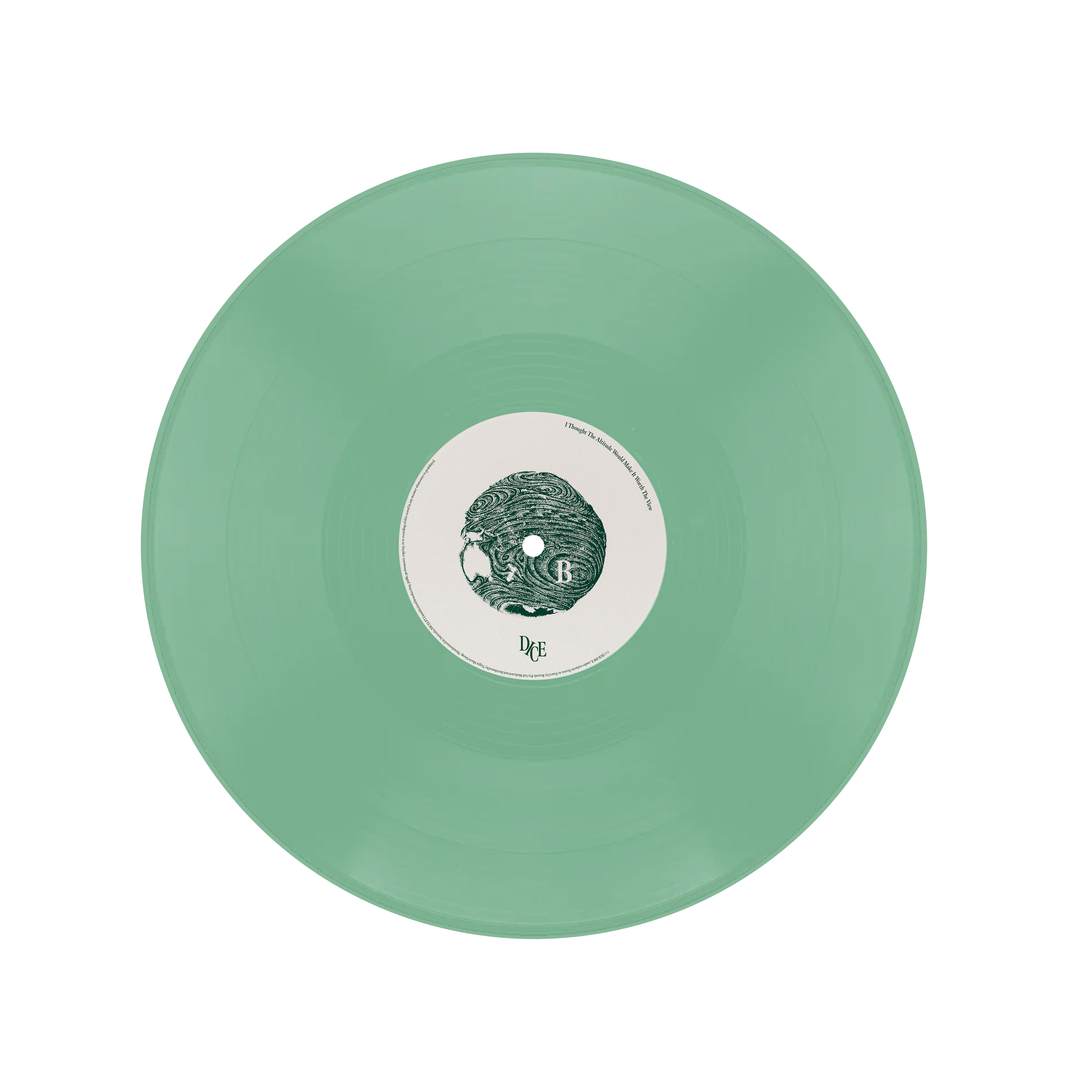 Mockup of Vinyl 2 disc.png