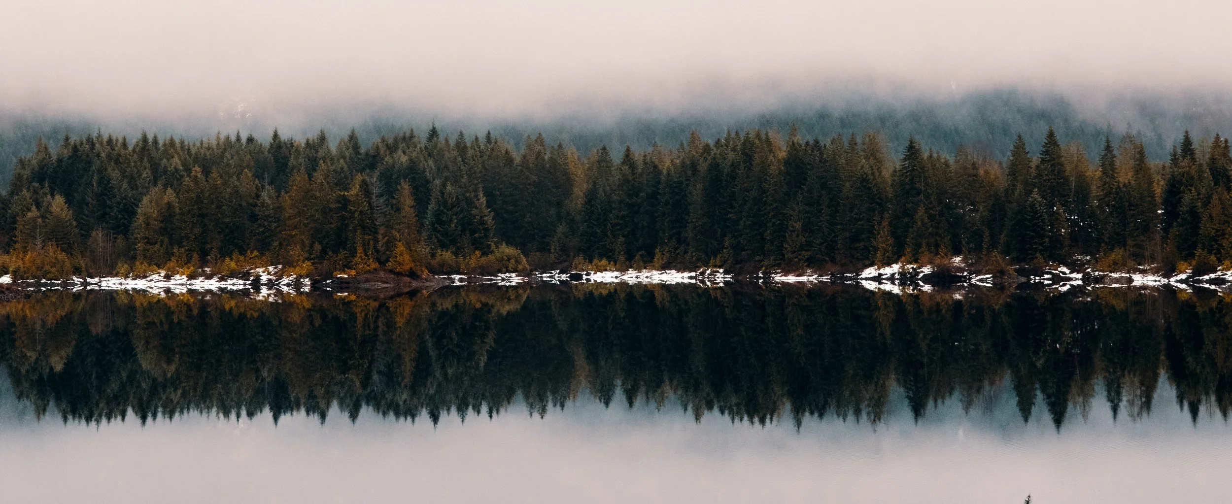 Fog- 18-02-06-002-CI.jpg