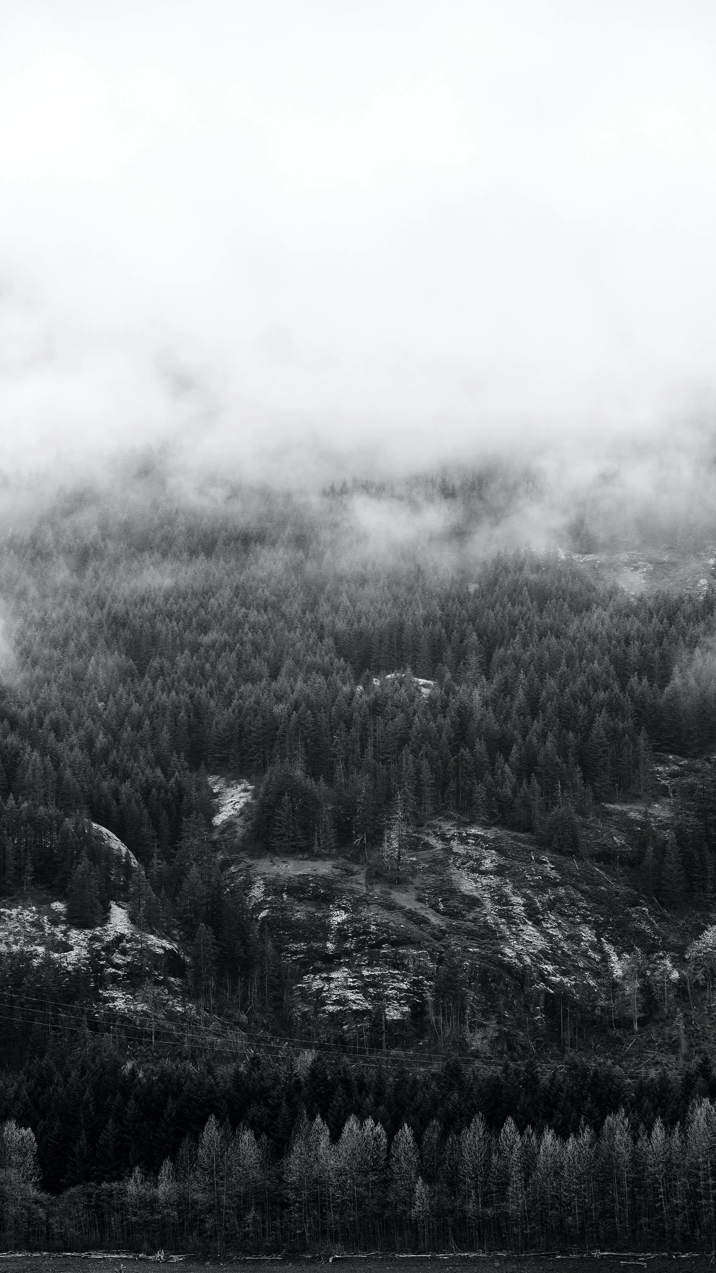 Fog- 20-04-22-081-CI.jpg