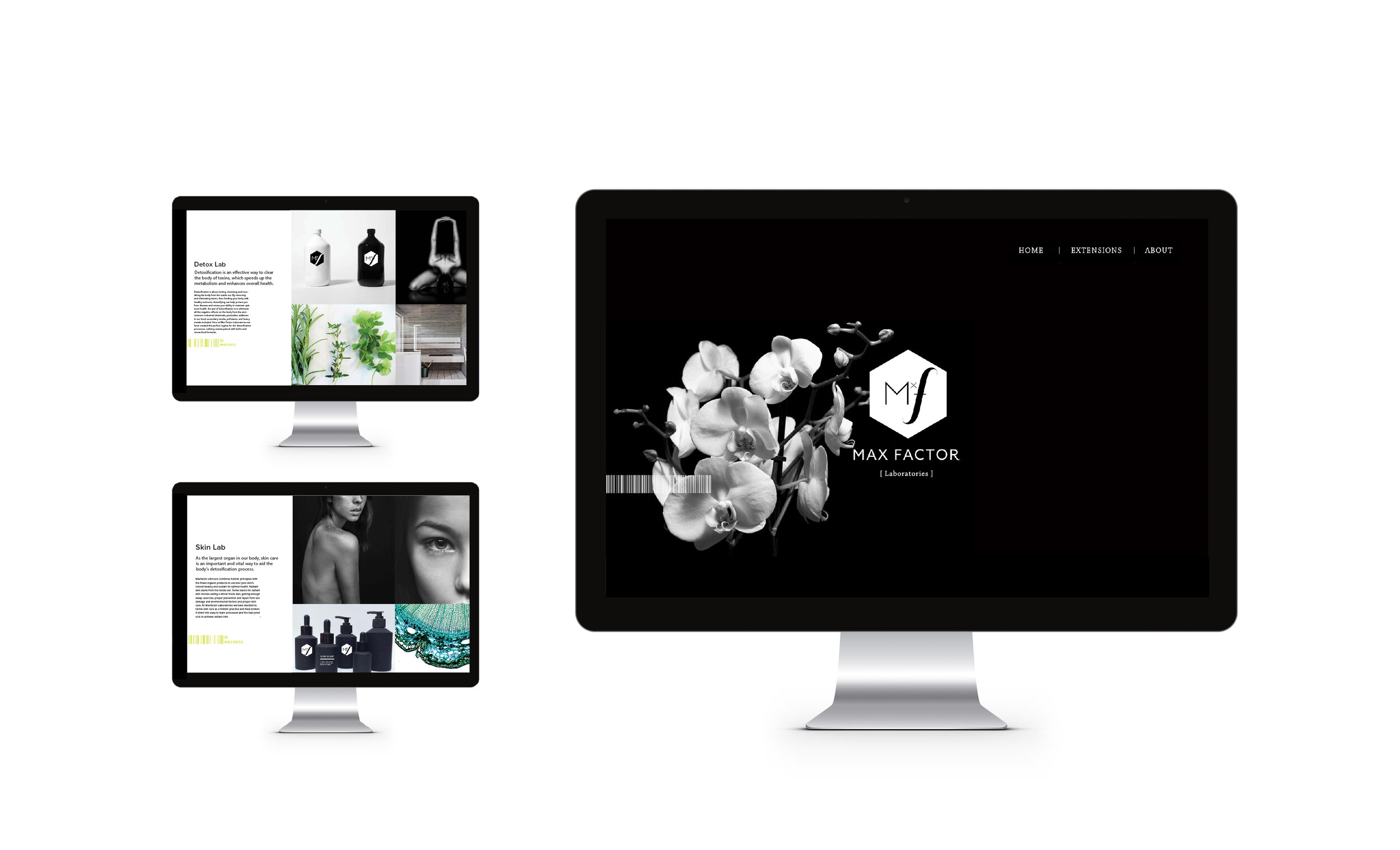 website_mockup-01.jpg