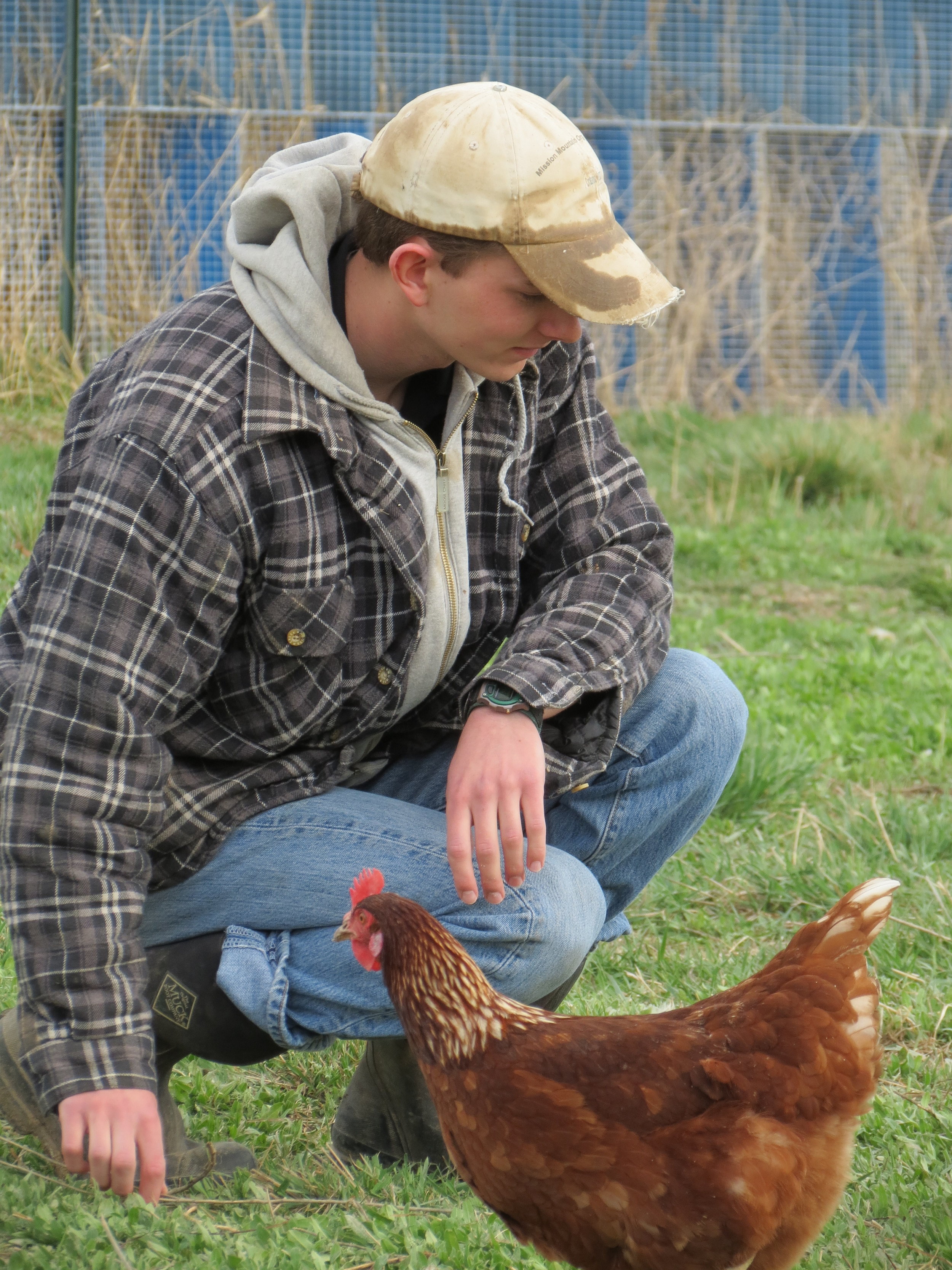 Out in the pasture with the chickens