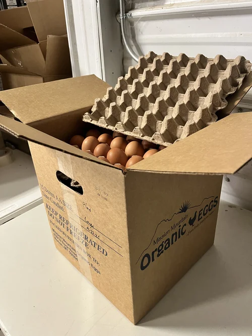 15 Dozen AA Organic Eggs, in flats — Mission Mountain Organic Eggs