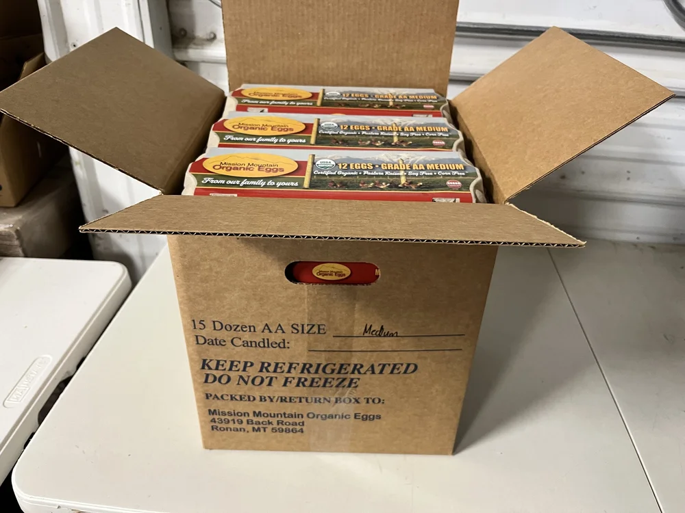 15 Dozen AA Organic Eggs, in cartons — Mission Mountain Organic Eggs