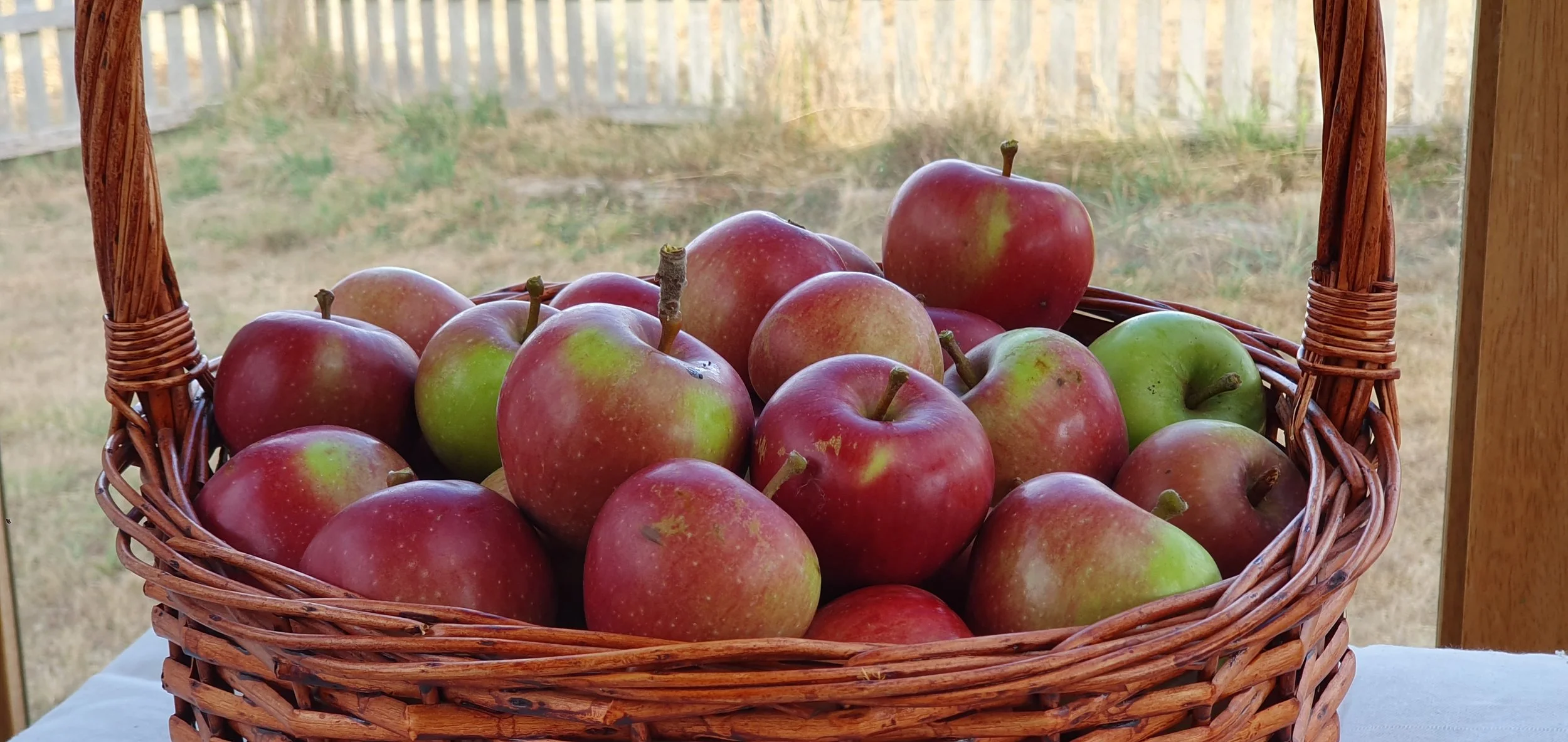 APPLES_March 2024.jpg