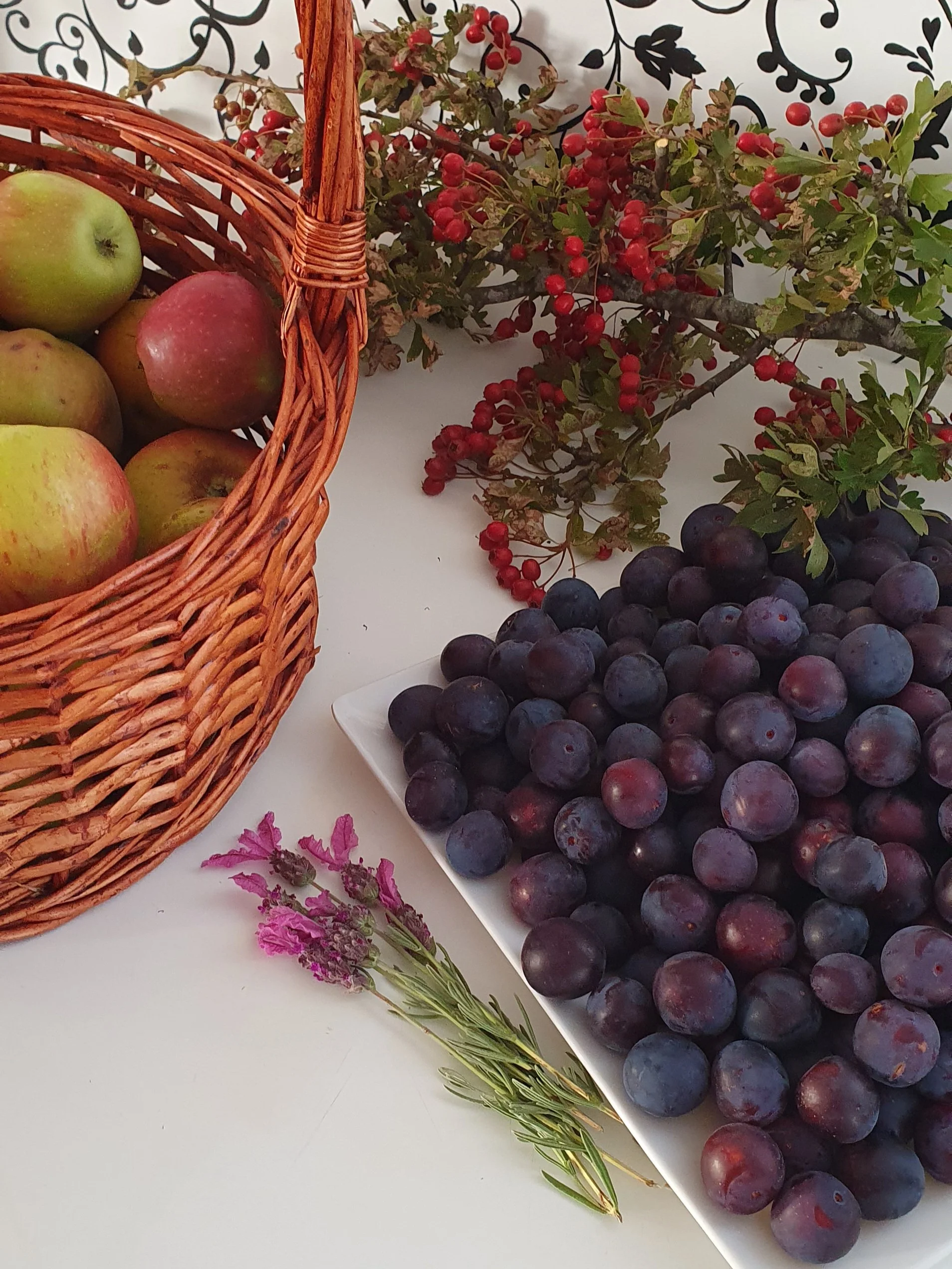 APPLES_PLUMS_HAWTHORN HIPS_LAVENDER_February 2024.jpg