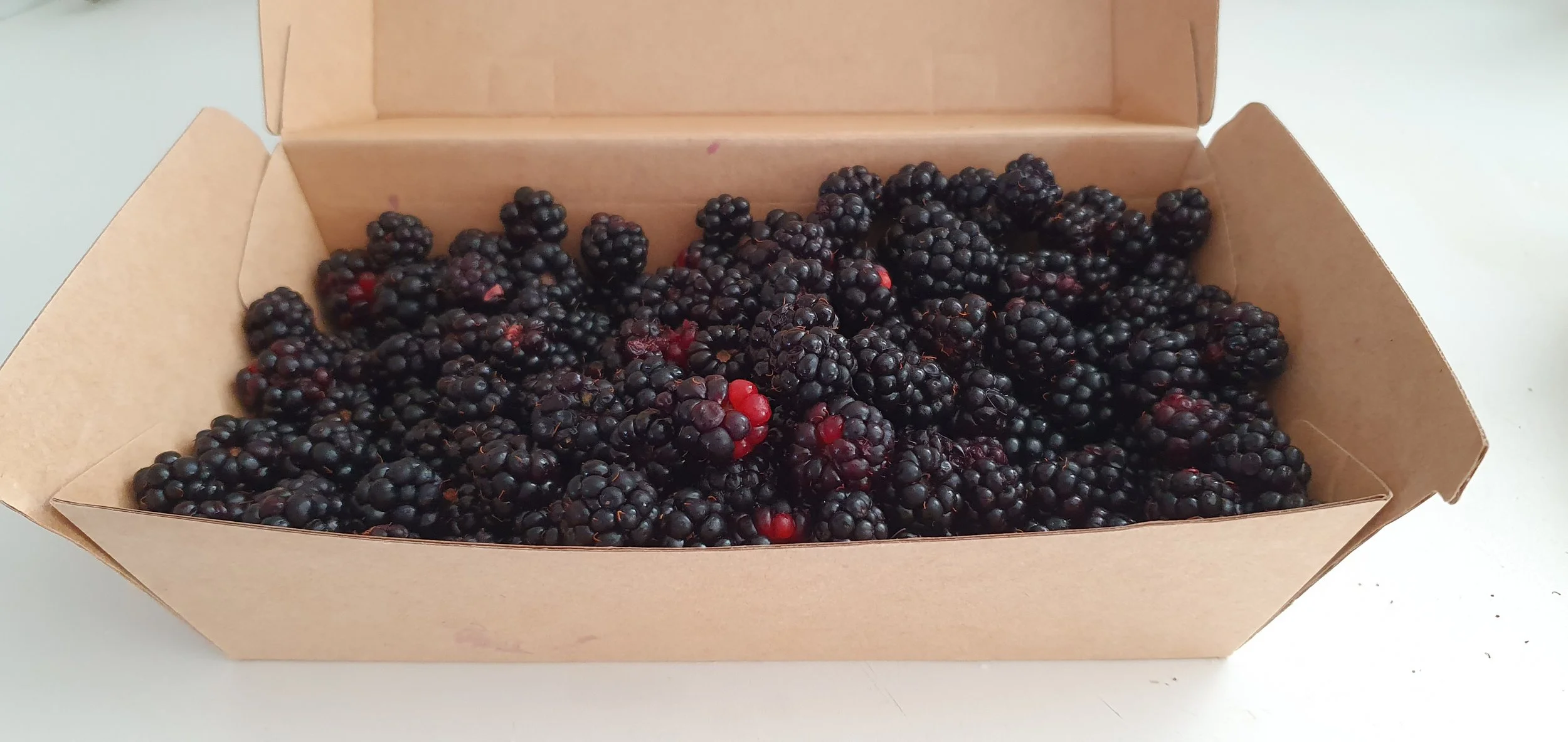 BLACKBERRIES_Feb 2024.jpg