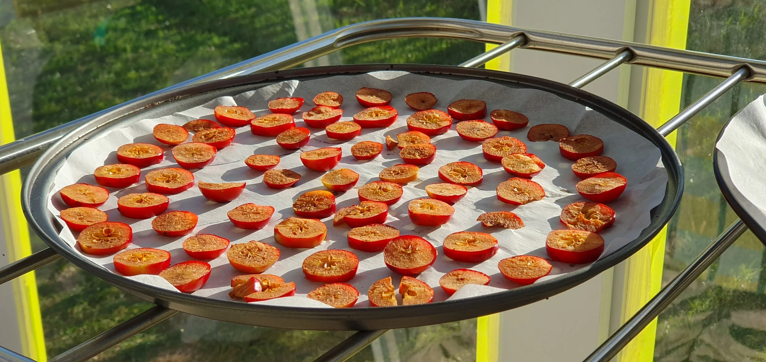 CRAB APPLES DRY_May 2024.jpg