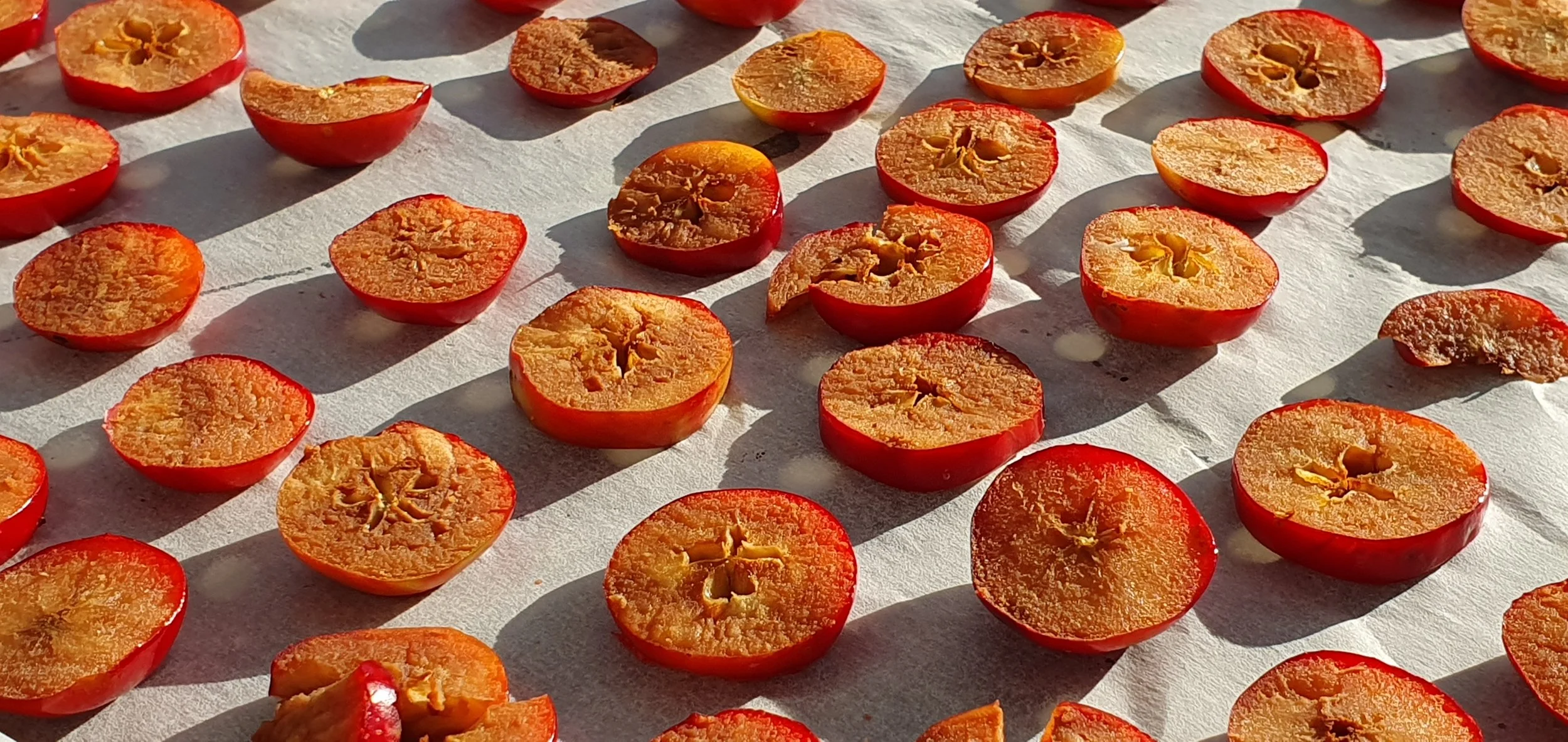 CRAB APPLES DRYING_May 2024.jpg