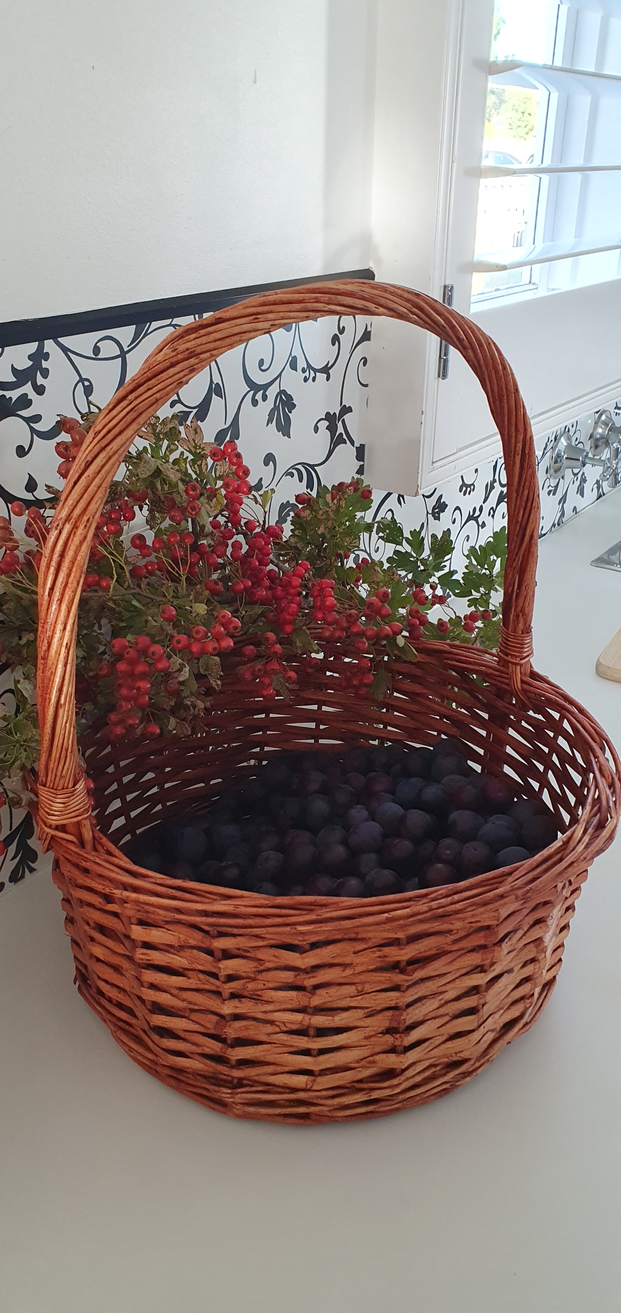 DAMSON PLUMS_HAWTHORN BERRY HIPS_February 2024.jpg