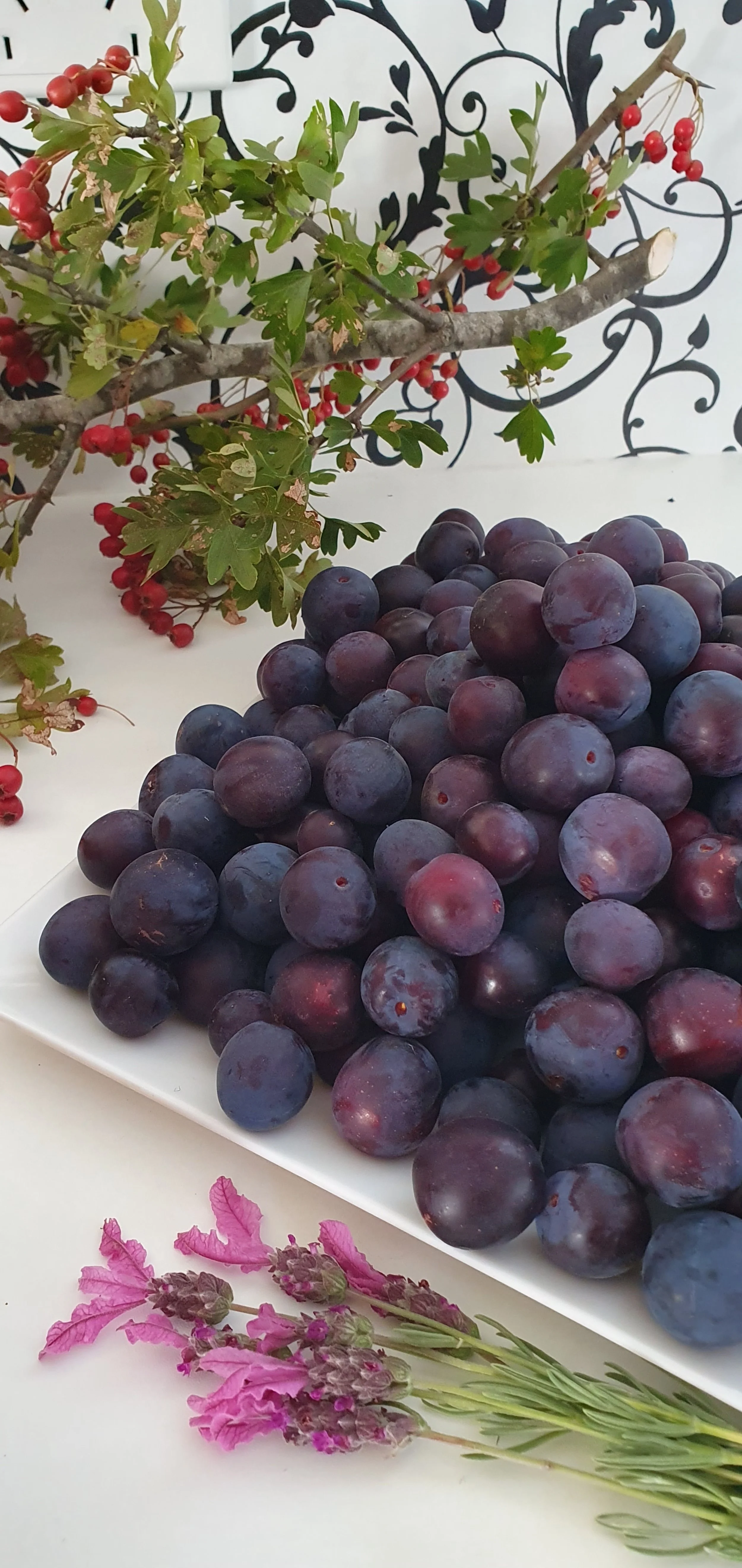 DAMSON PLUMS_HAWTHORN BERRY HIPS_LAVENDER_February 2024.jpg
