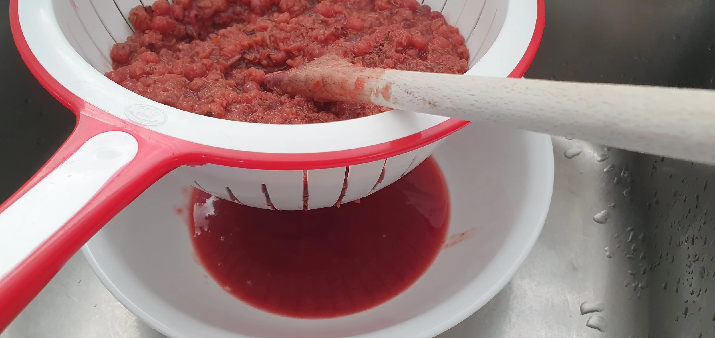 HAWTHORN HIP JELLY_March 2024.jpg