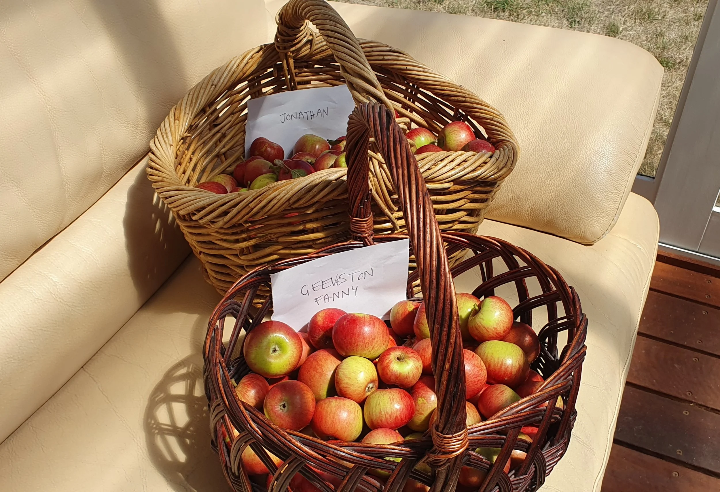 APPLES VARIETIES_Feb 2025.jpg