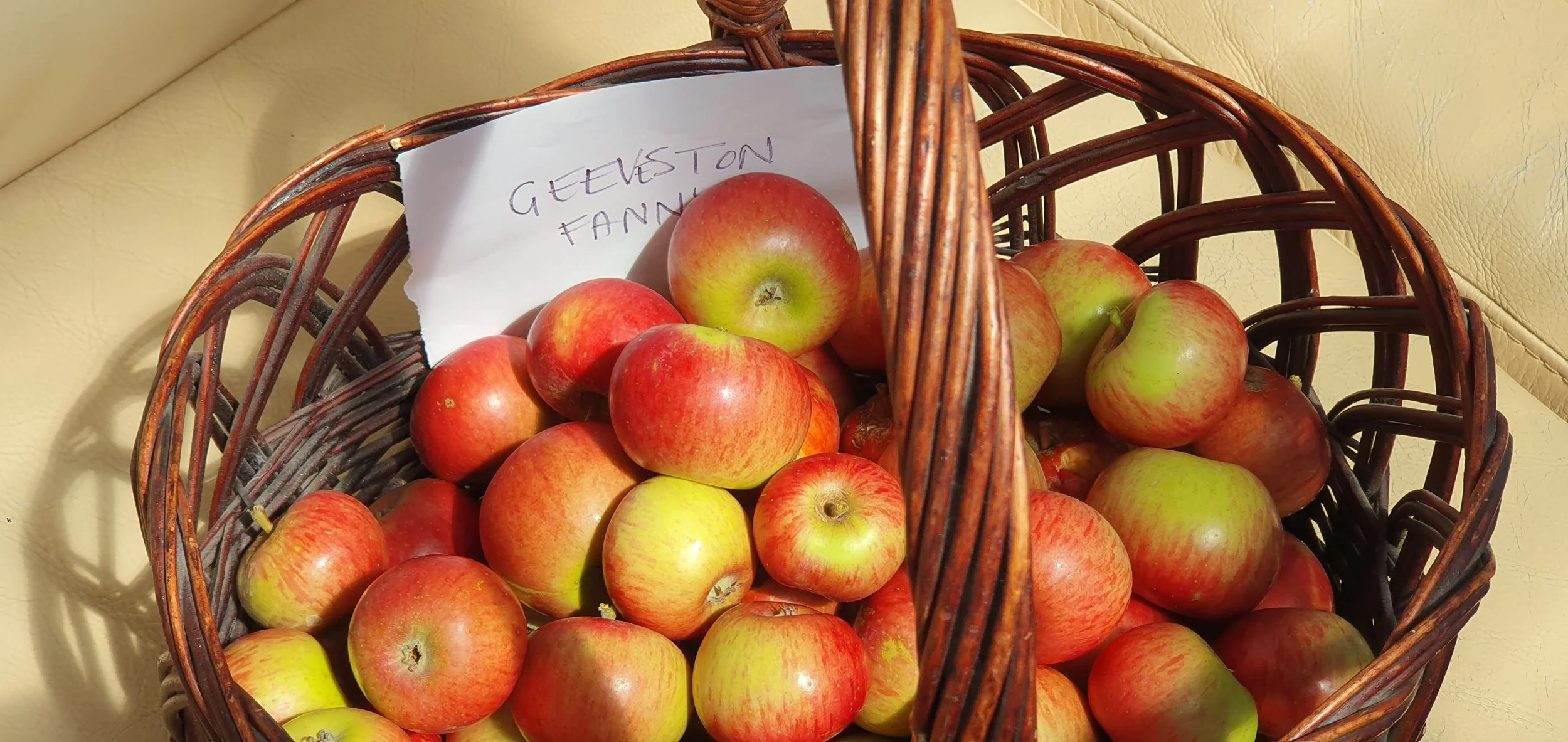 GEEVSTON APPLES_Feb 2025.jpg