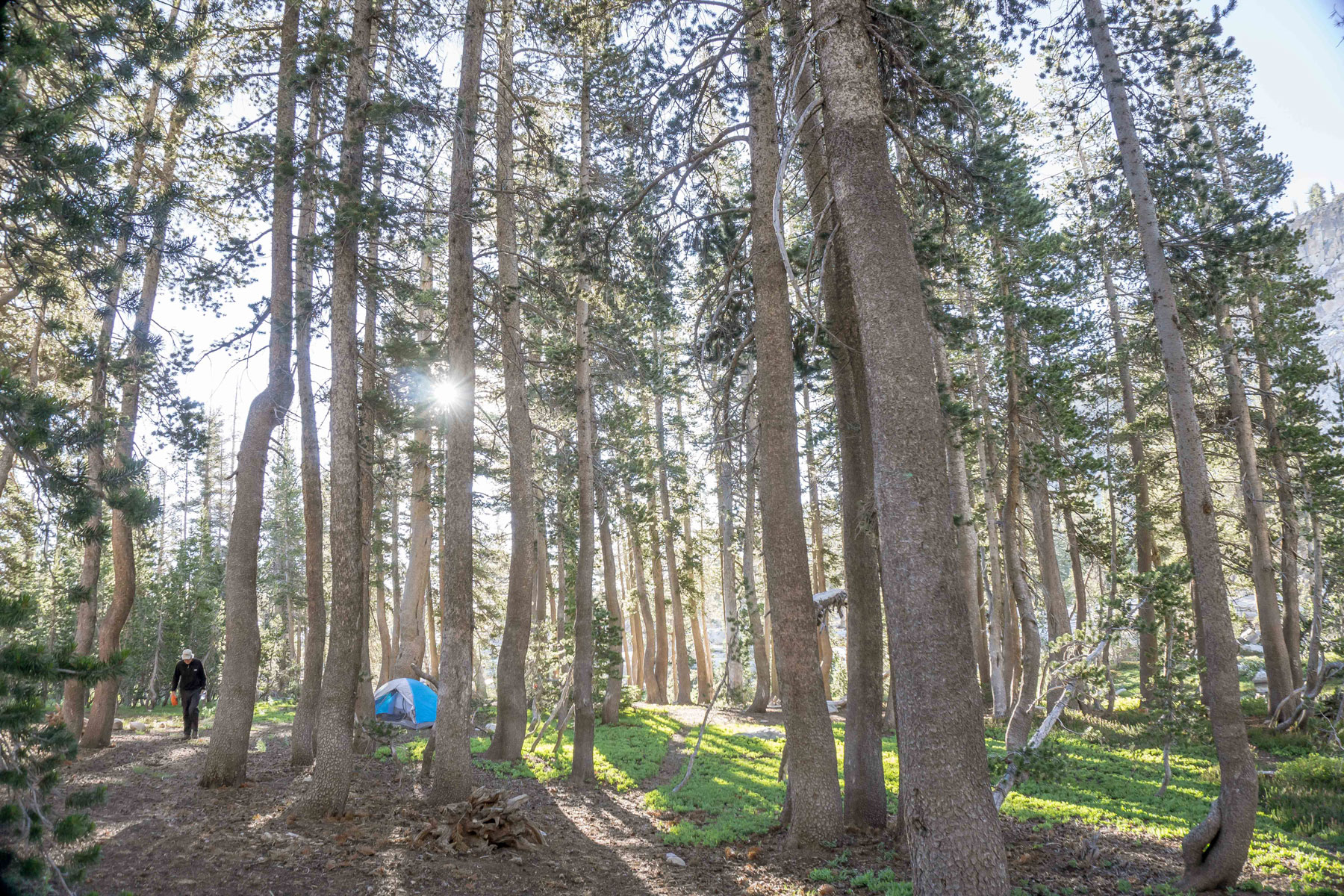 Ales-and-Trails-2016-KLawson-web.jpg