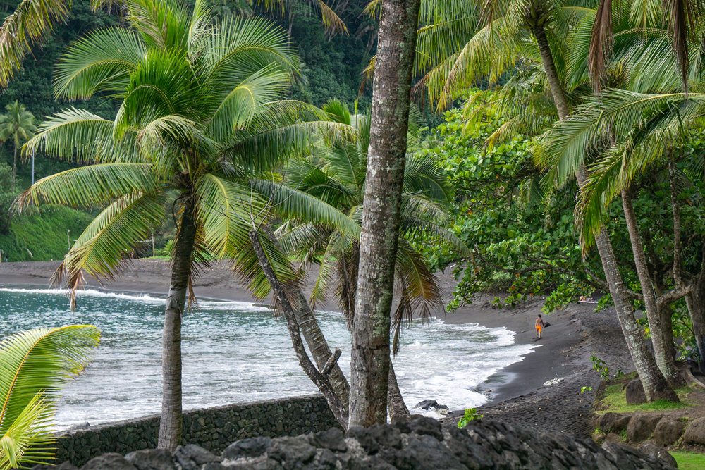 Black Sand Beach - Featured in US News &amp; World Report