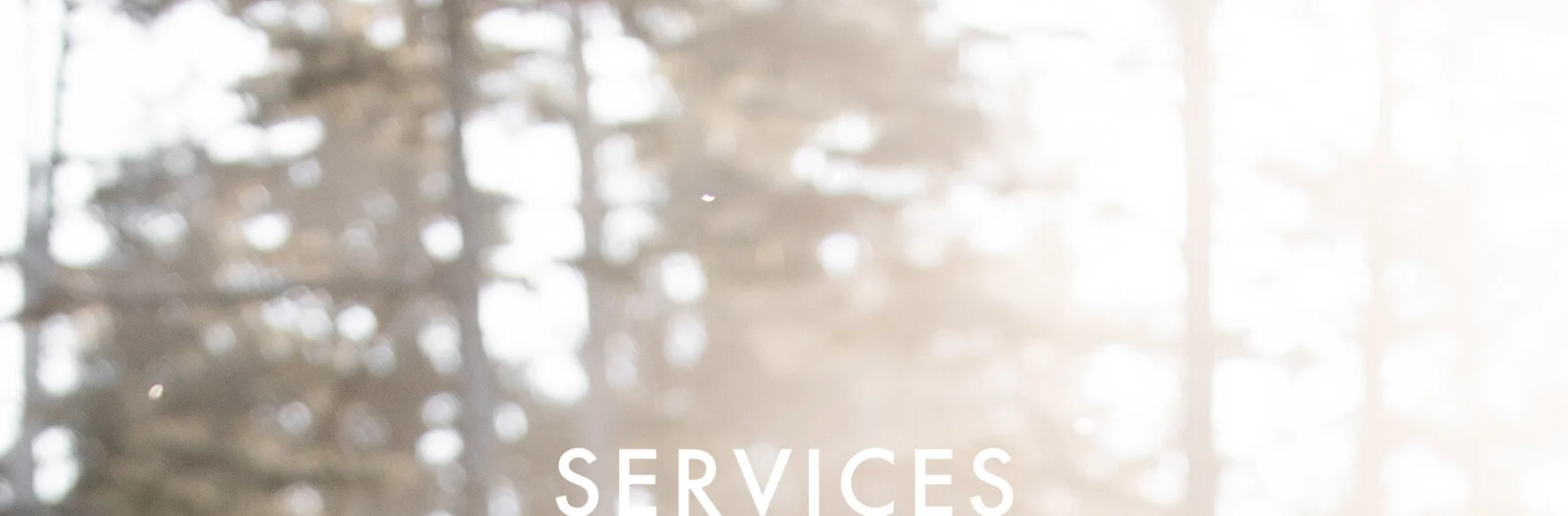 DRML-services banner-1.jpg
