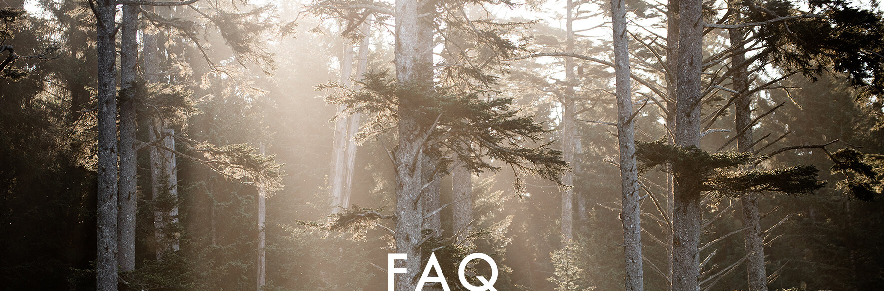 DRML-FAQ banner-1.jpg