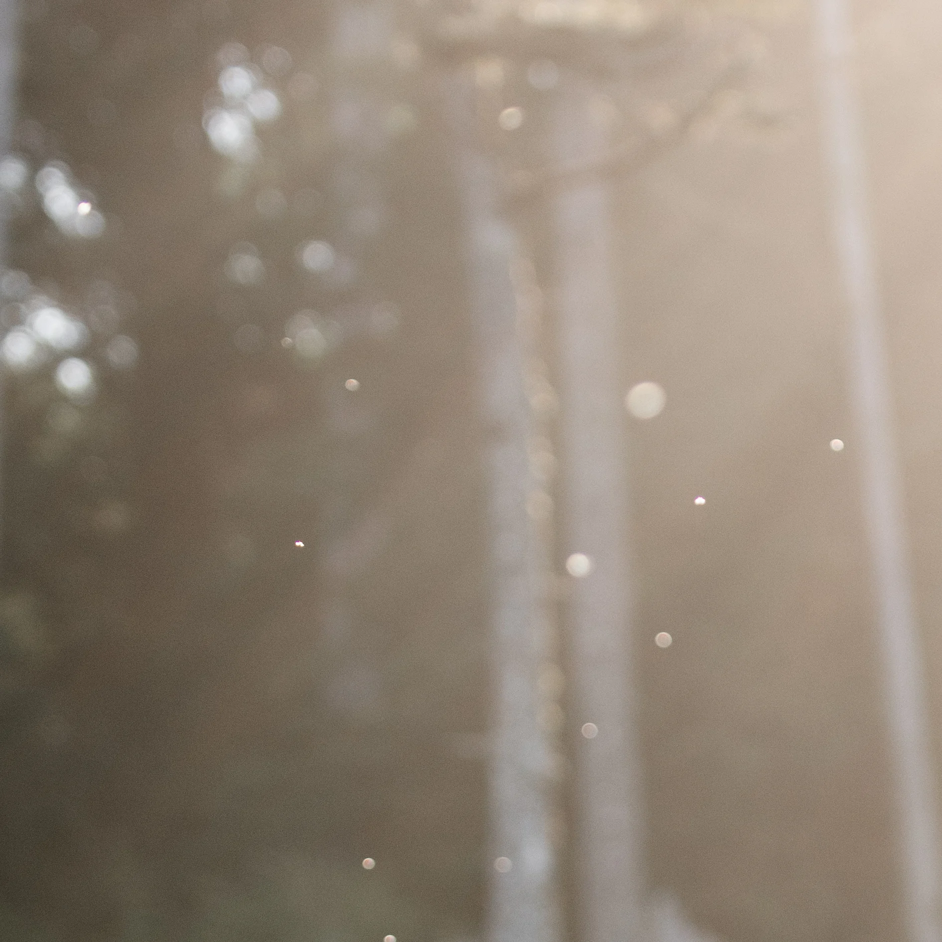 thumbnail-middle.jpg