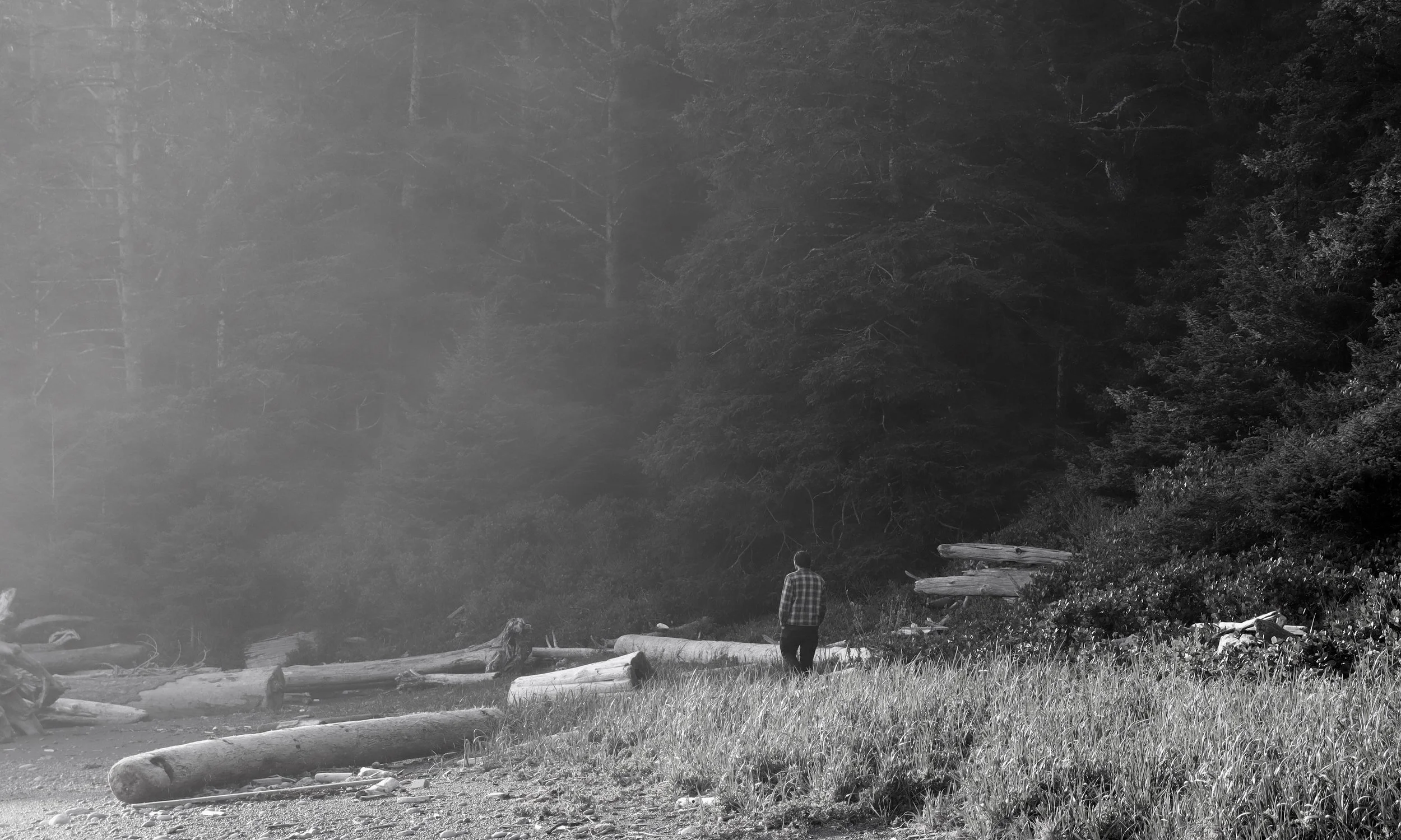 Individual Coaching to Shift Pathways in the Mind