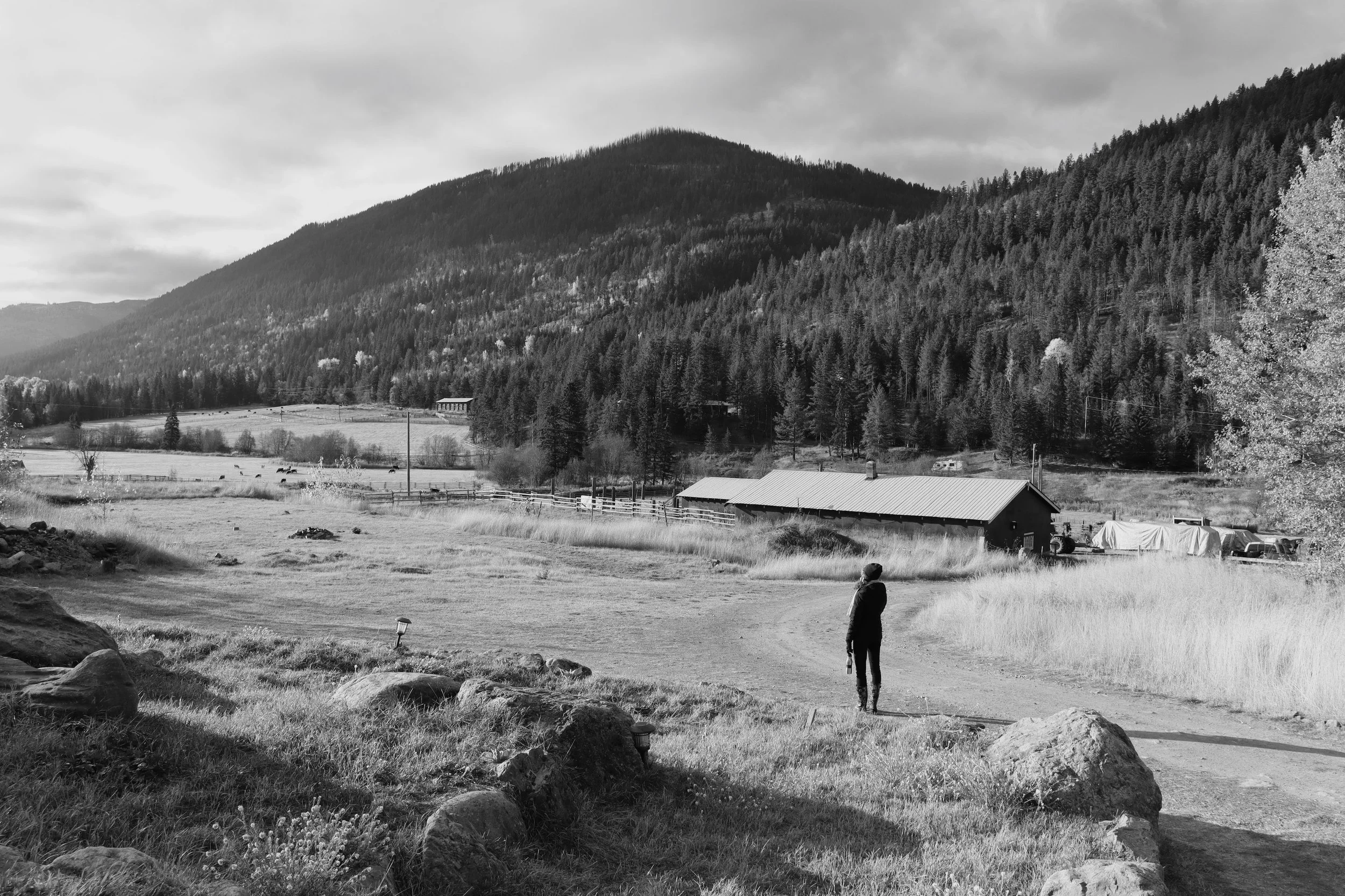 Abundance versus Lack: The Neuroscience of Creating from Awareness