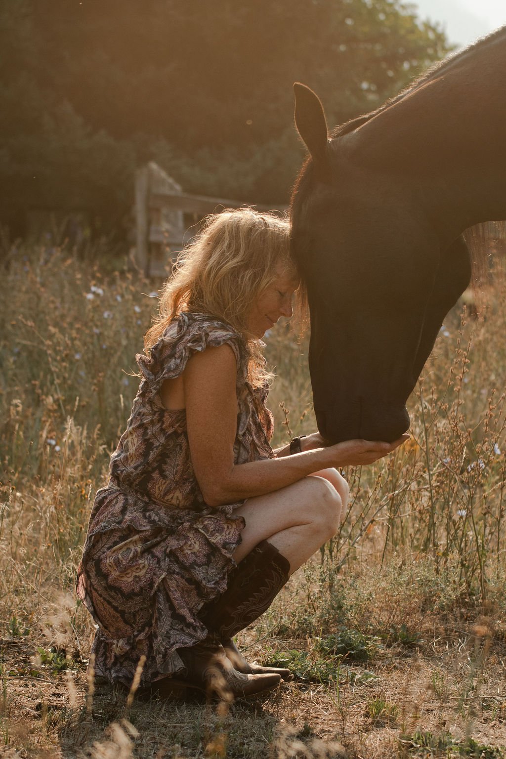 Horse Therapy: The Power of Authentic Reflection