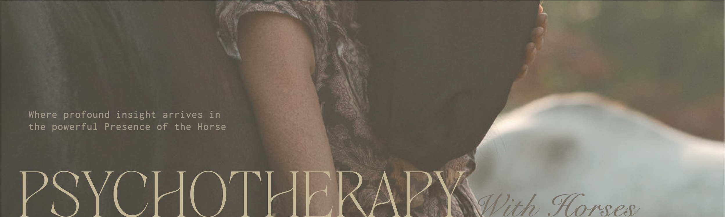 Psychotherapy with Horses