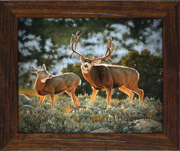 Mountain Heir — Dallen Lambson Wildlife Art