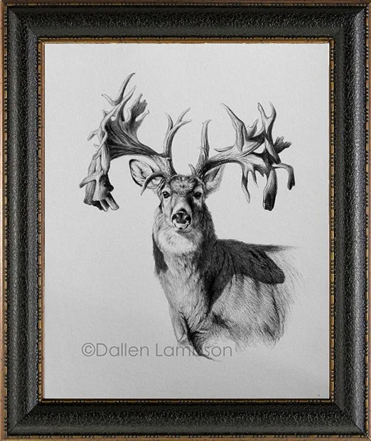 アート・デザイン・音楽 The Journal No 22 dash  Mr. Hole in the Horn — Dallen Lambson Wildlife Art