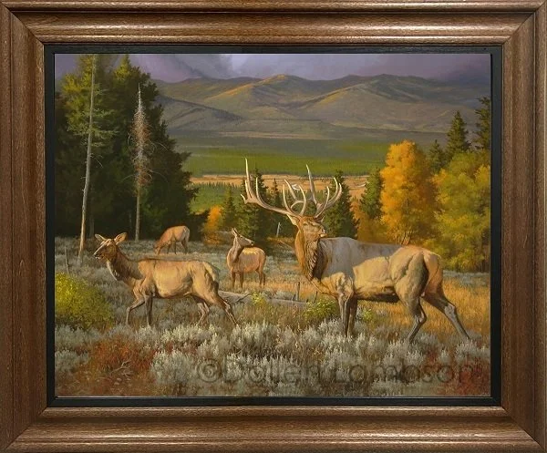 Wilderness-Royalty(webready).jpg