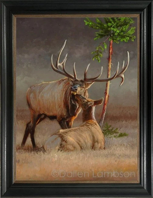 Majestic Affection(webready).jpg