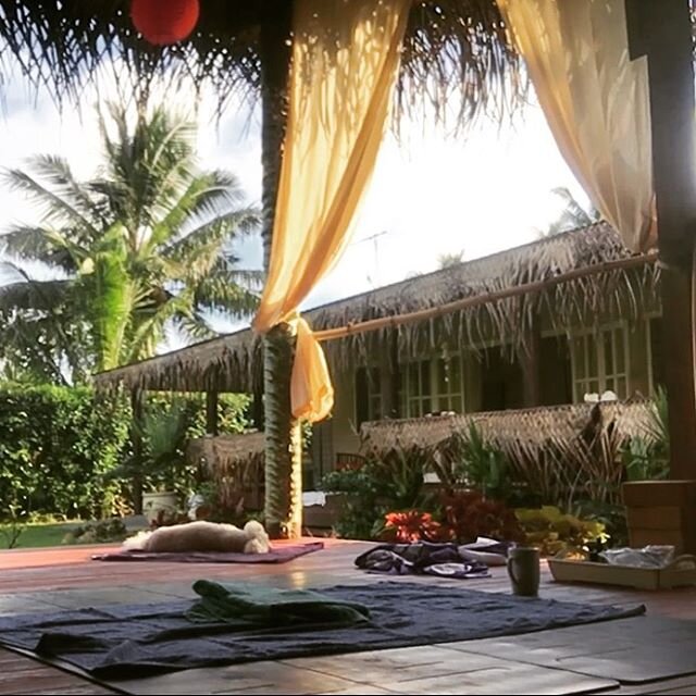 Sukha Yoga -Rarotonga 🧘🏼&zwj;♀️🕉💜
Come and join our growing community of yogis at our peaceful sanctuary in the back roads of Matavera Rarotonga 🌴🌼 Tues- Beginners Hatha Align
Wed - Hatha Flow Breath Chant
Thu - Vinyasa. Intermediate. 
Donation