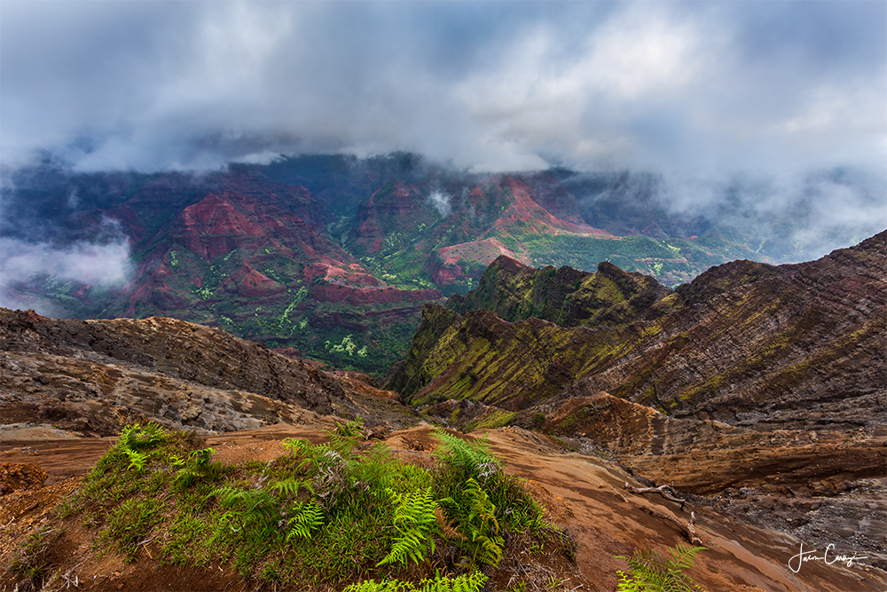 Misty Canyon